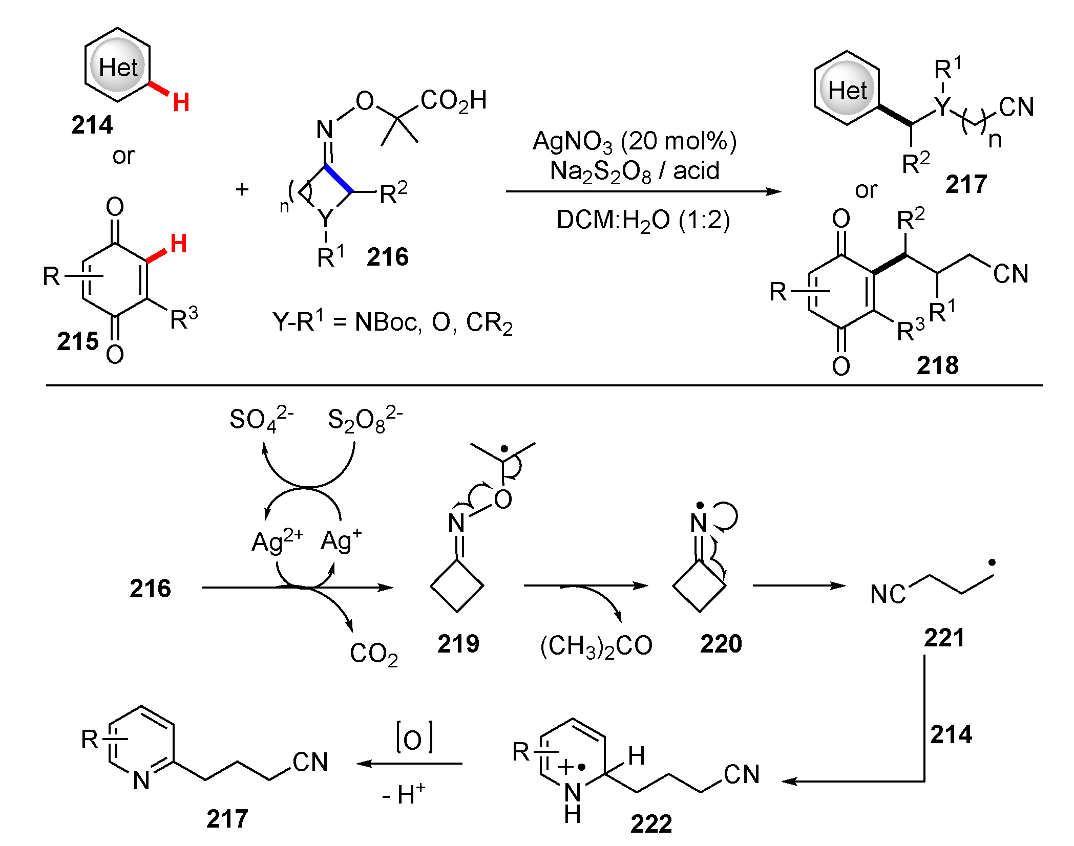 Molecules 25 05900 sch027 Molecules 25 05900 sch027