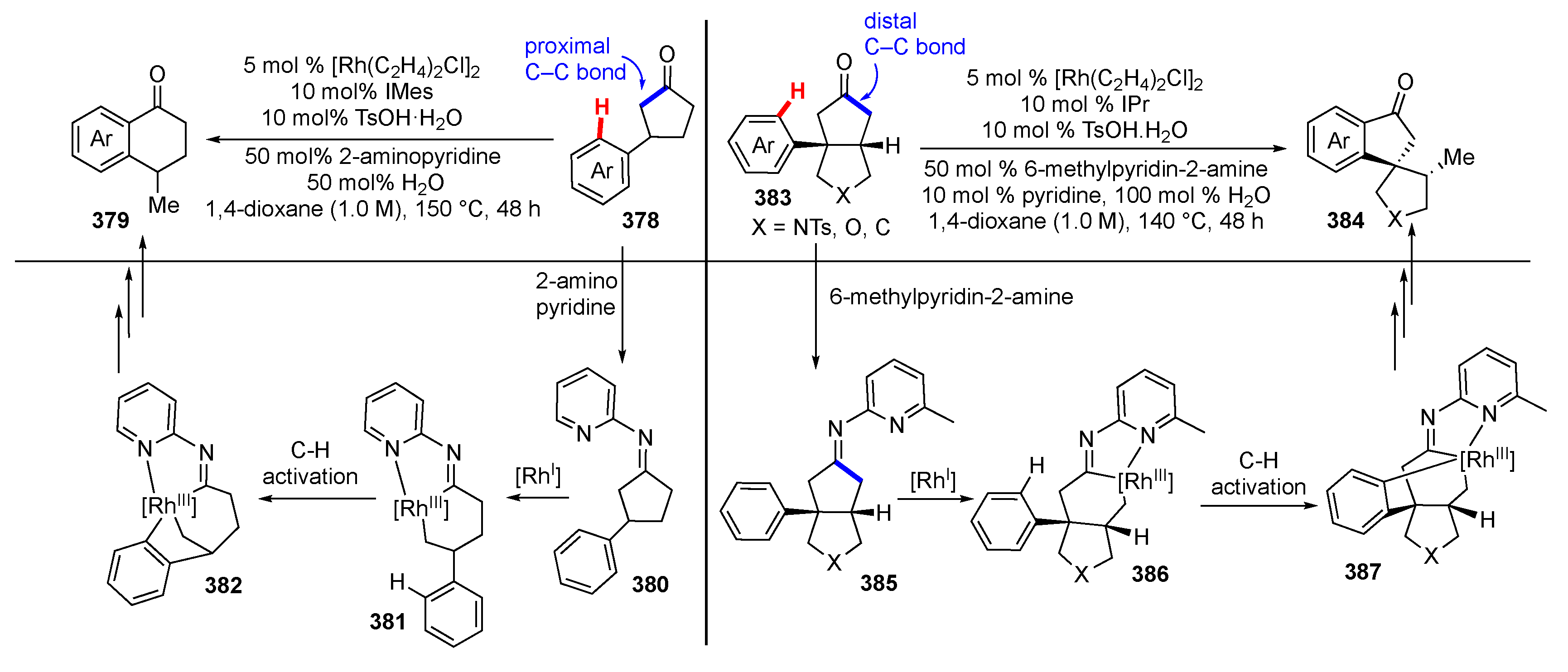 Molecules 25 05900 sch050 Molecules 25 05900 sch050
