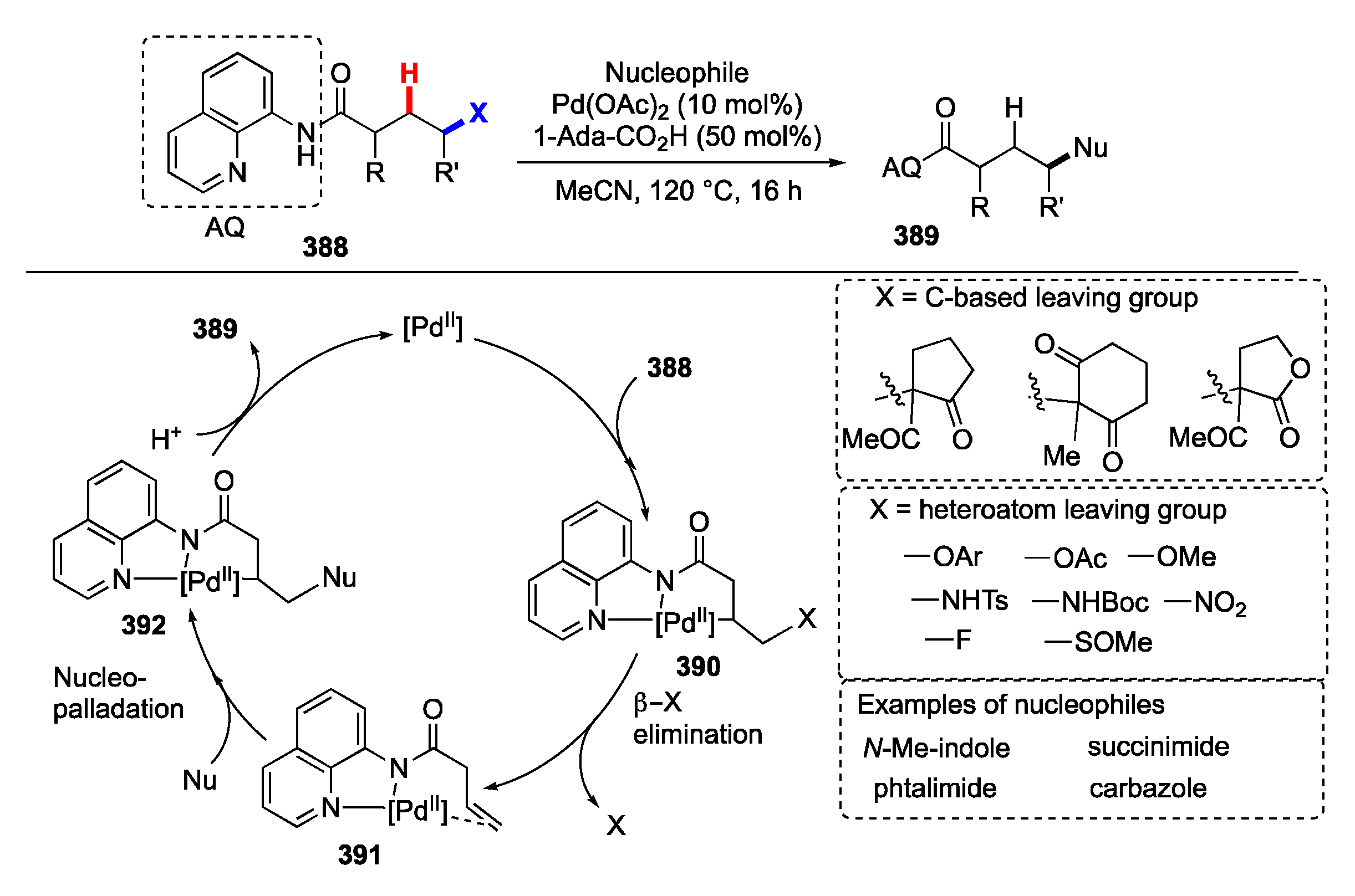 Molecules 25 05900 sch051 Molecules 25 05900 sch051