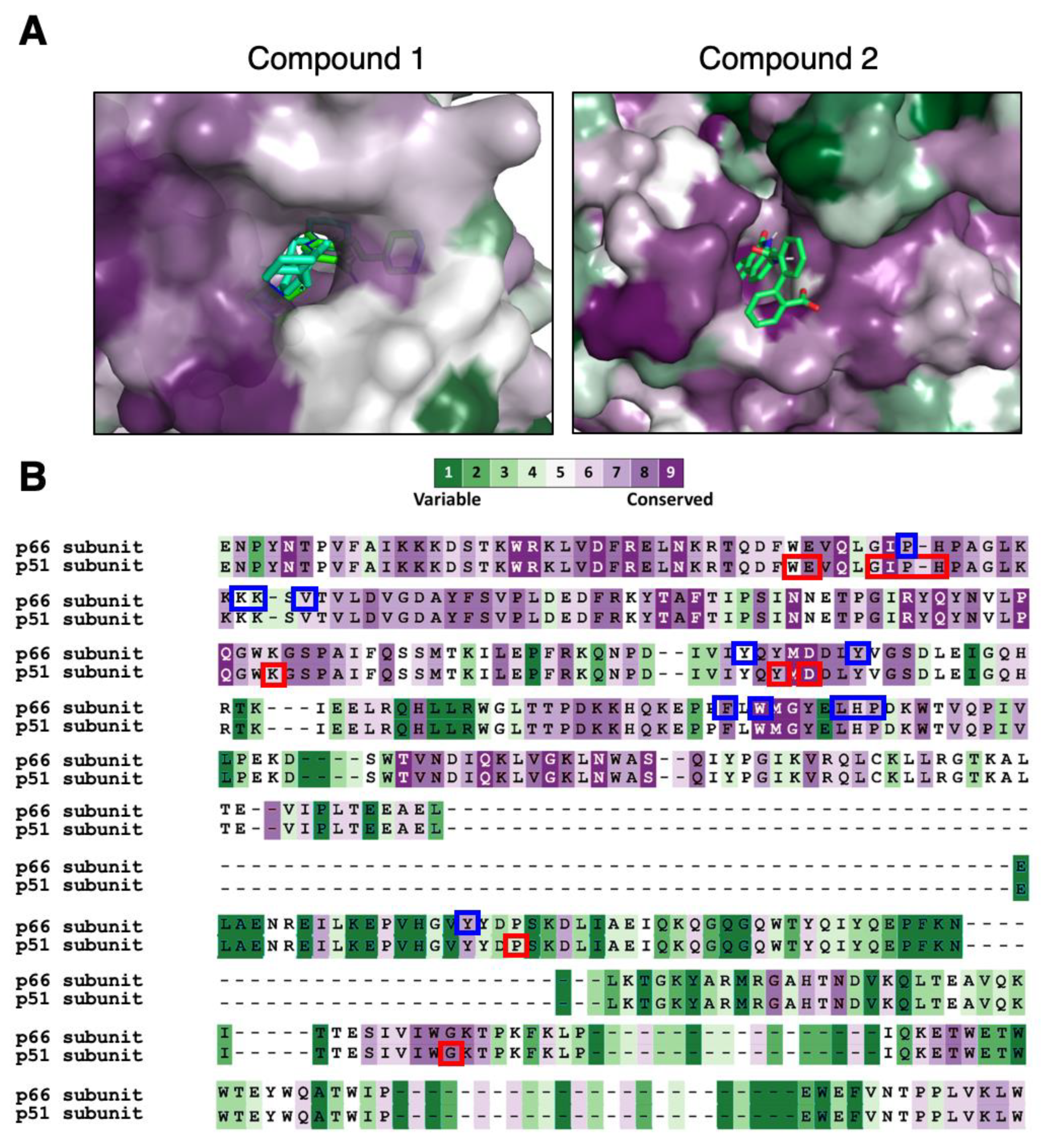 Molecules 25 05902 g005 Molecules 25 05902 g005