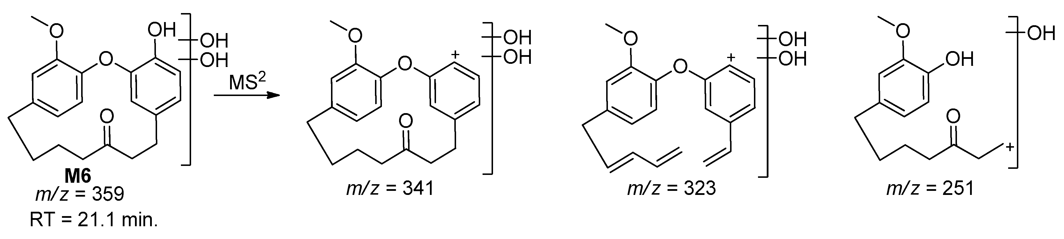 Molecules 25 05903 sch007 Molecules 25 05903 sch007
