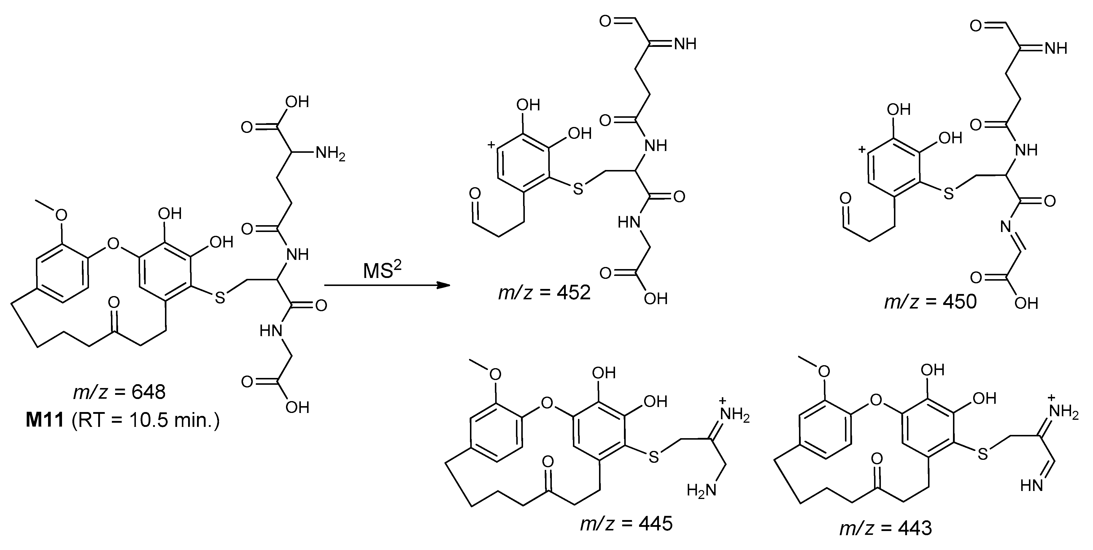 Molecules 25 05903 sch015 Molecules 25 05903 sch015