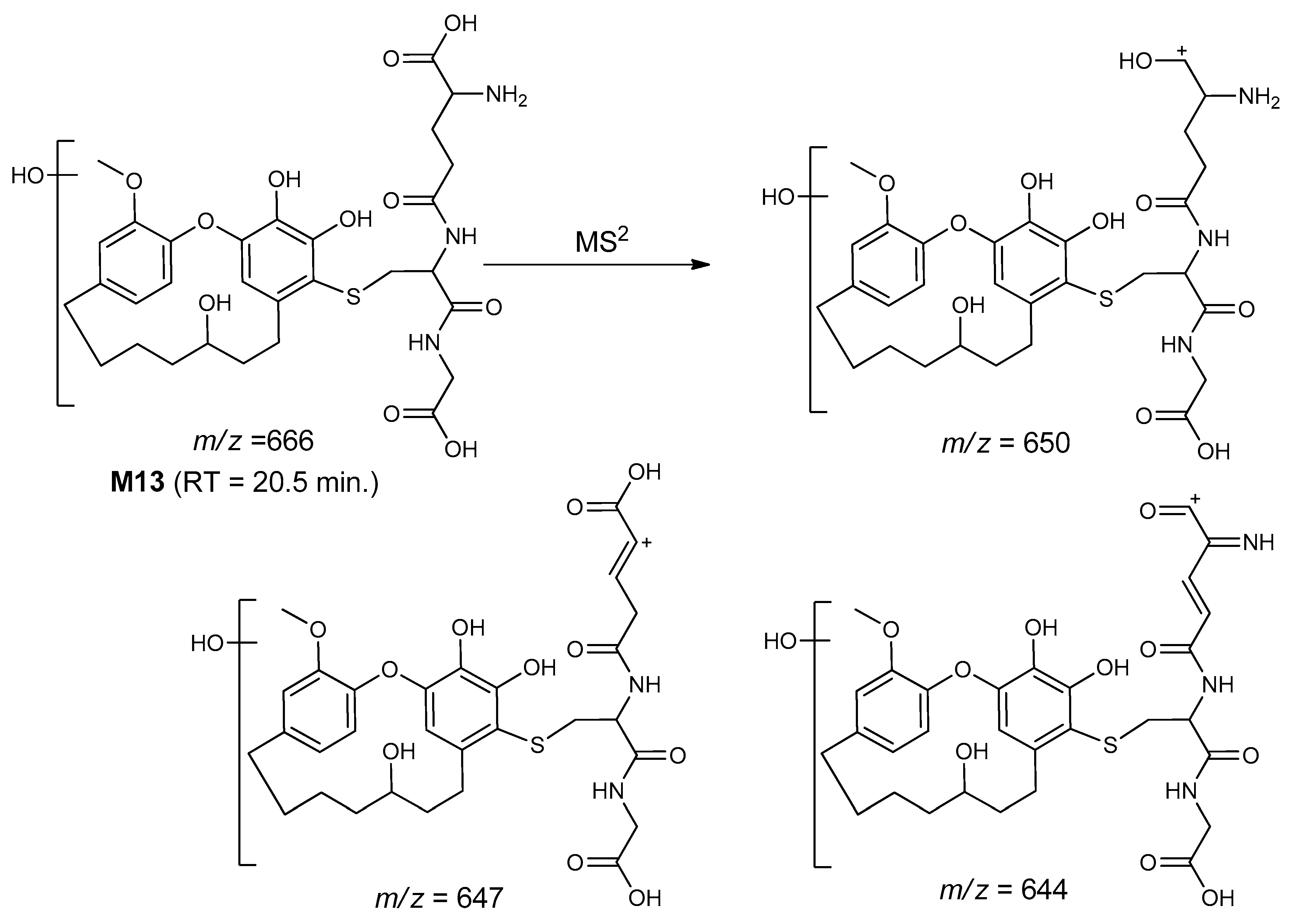 Molecules 25 05903 sch017 Molecules 25 05903 sch017