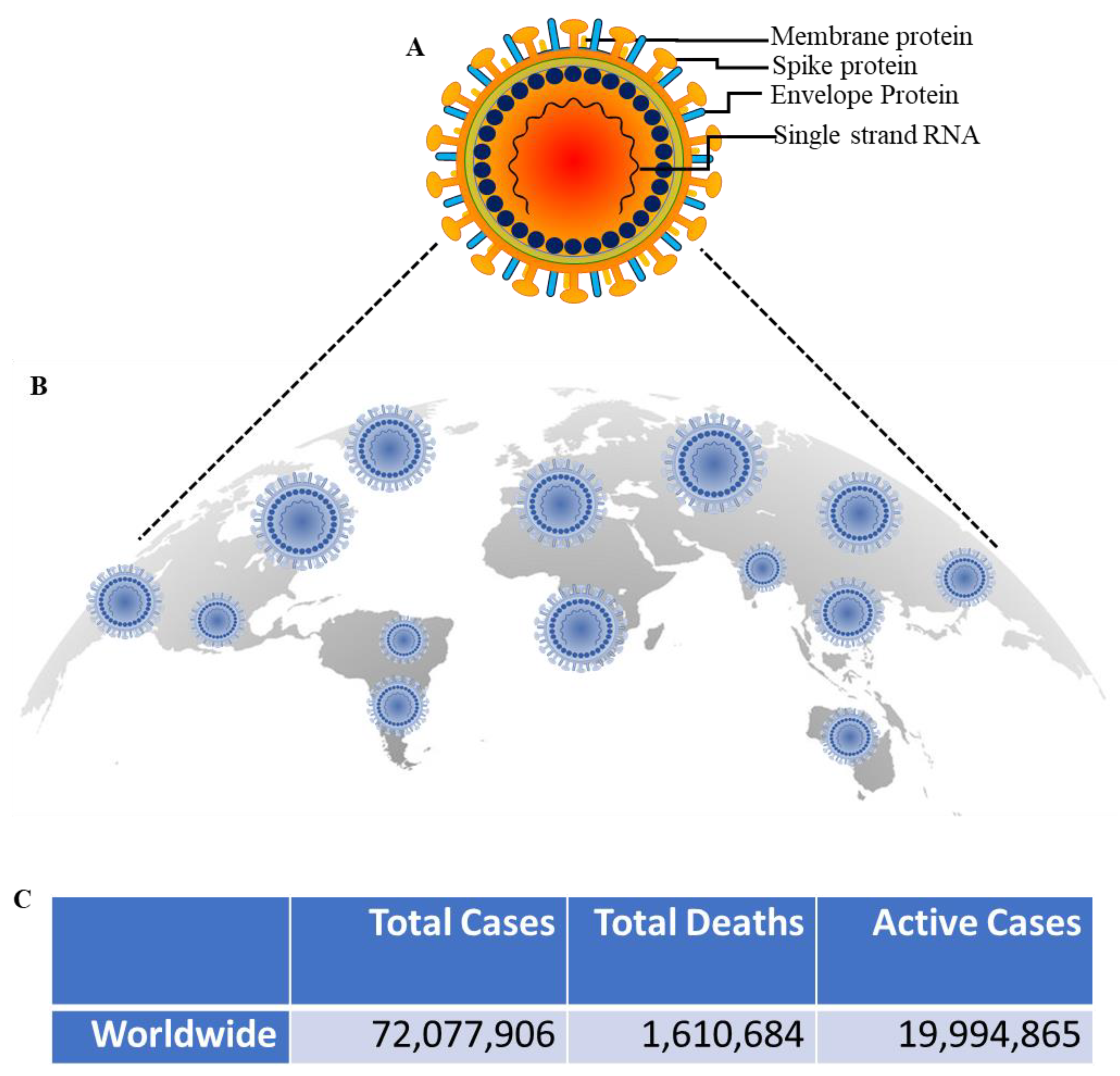 Molecules 25 05905 g001 Molecules 25 05905 g001