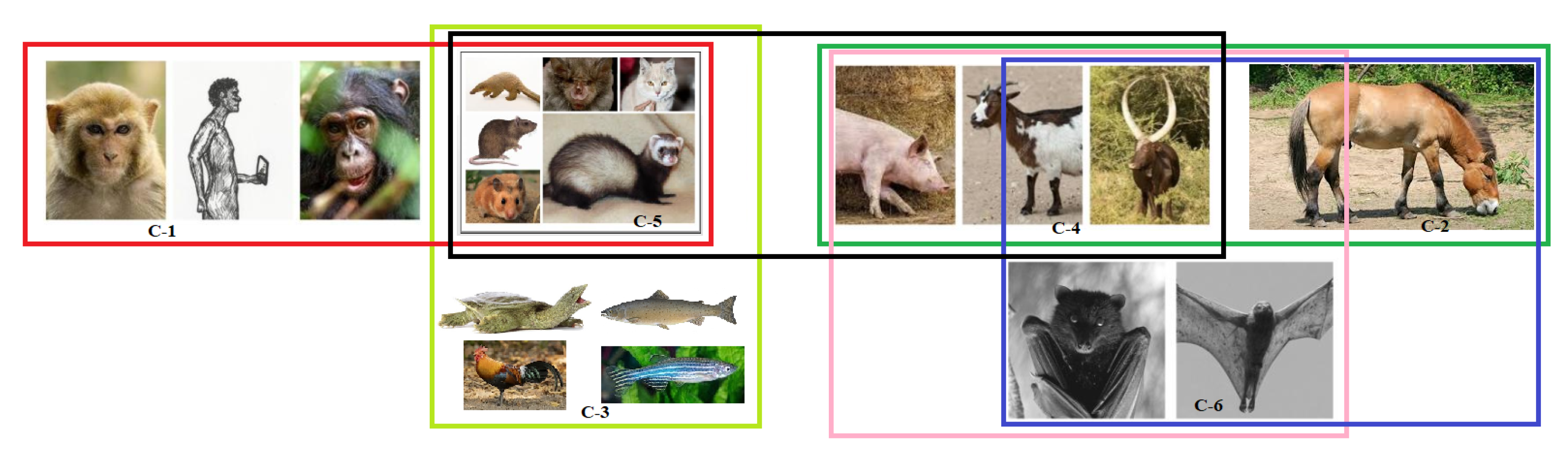 Molecules 25 05906 g013 Molecules 25 05906 g013