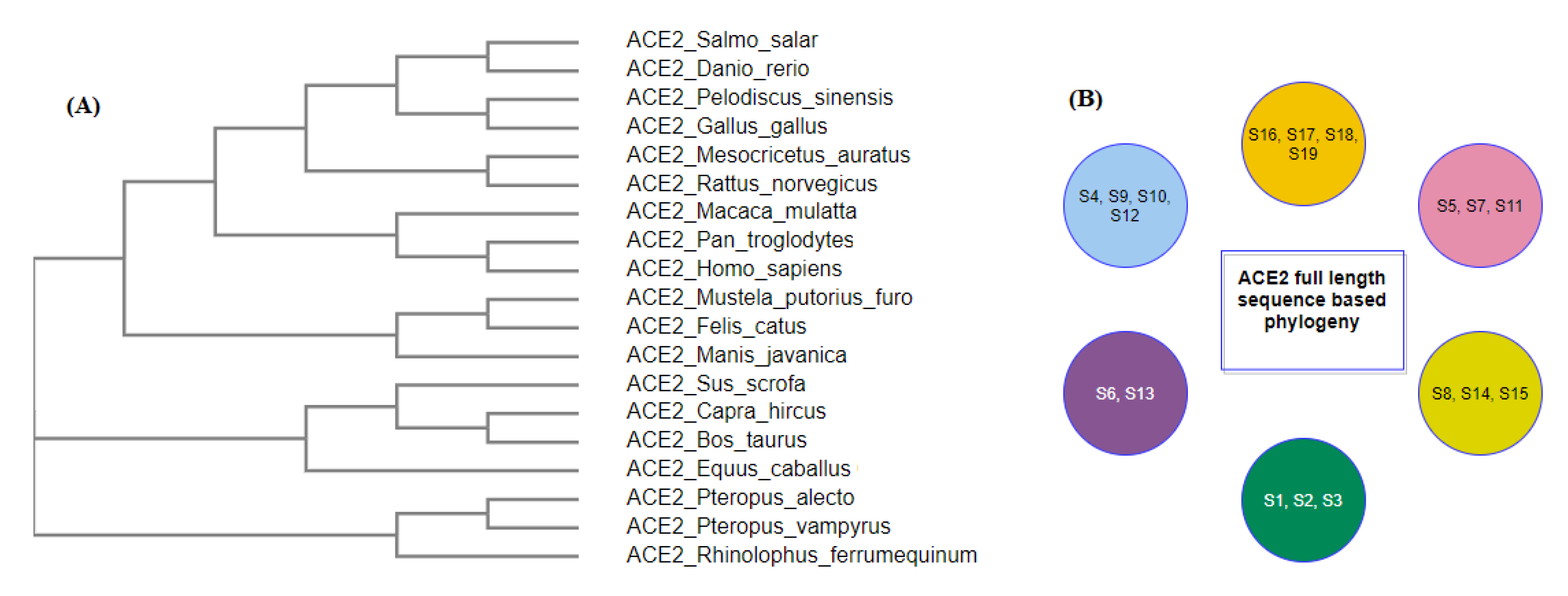 Molecules 25 05906 g016 Molecules 25 05906 g016