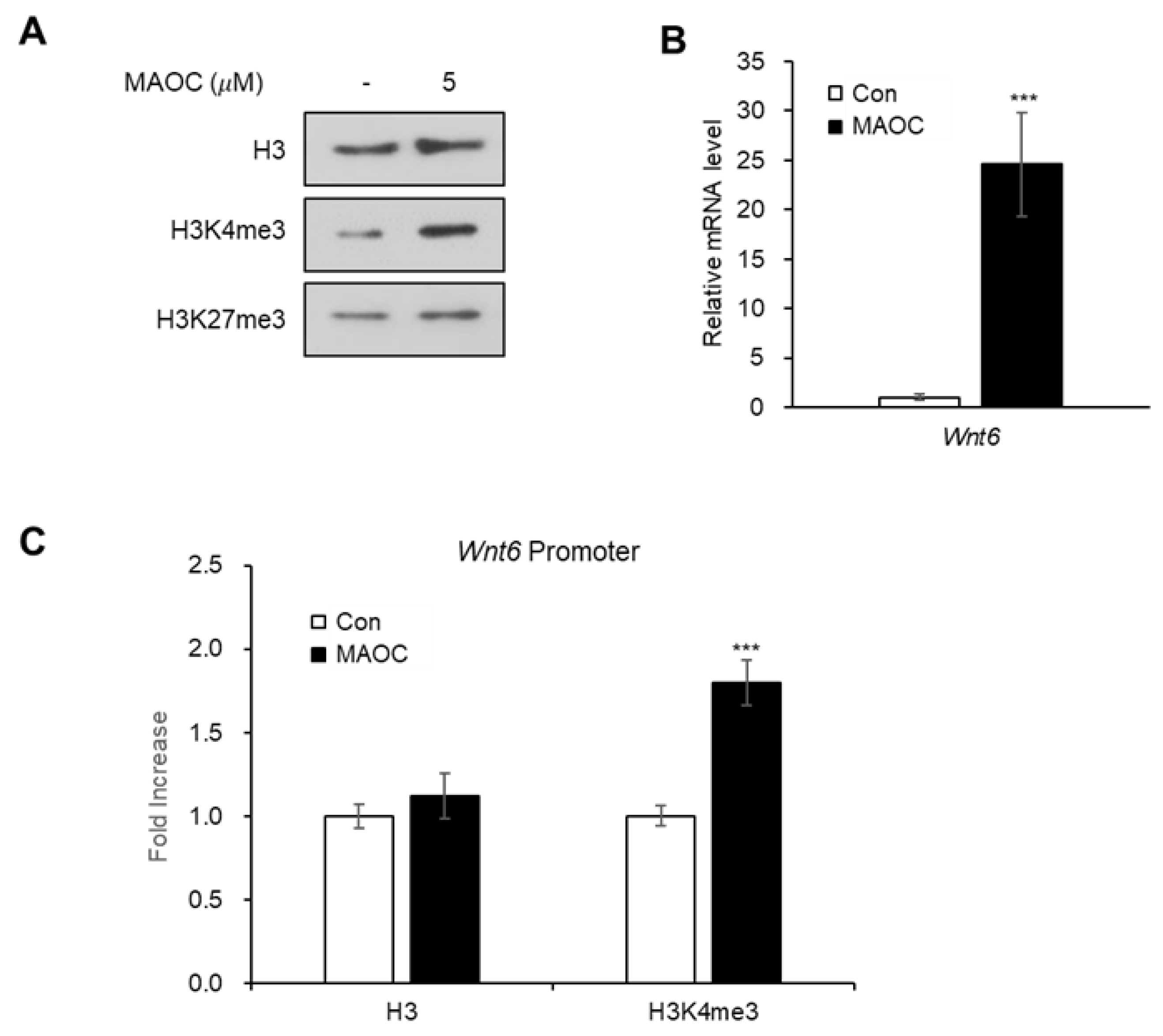 Molecules 25 05910 g004