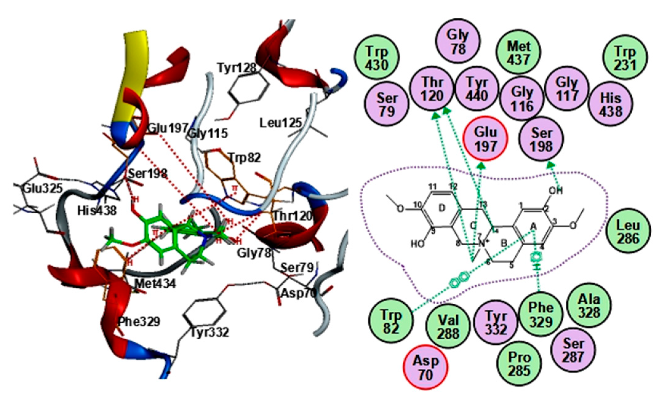 Molecules 25 05914 g007 Molecules 25 05914 g007