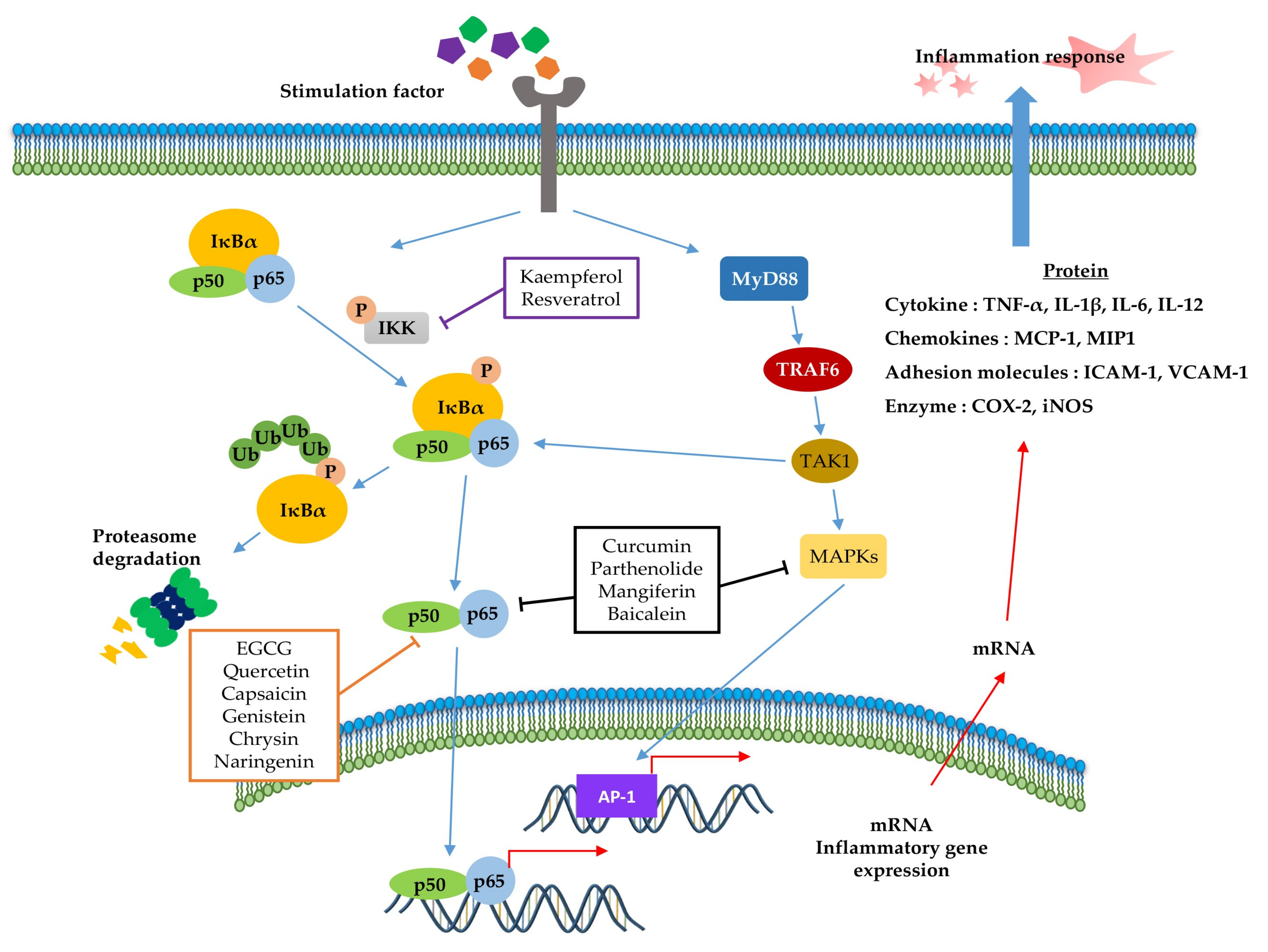 Molecules 25 05932 g002