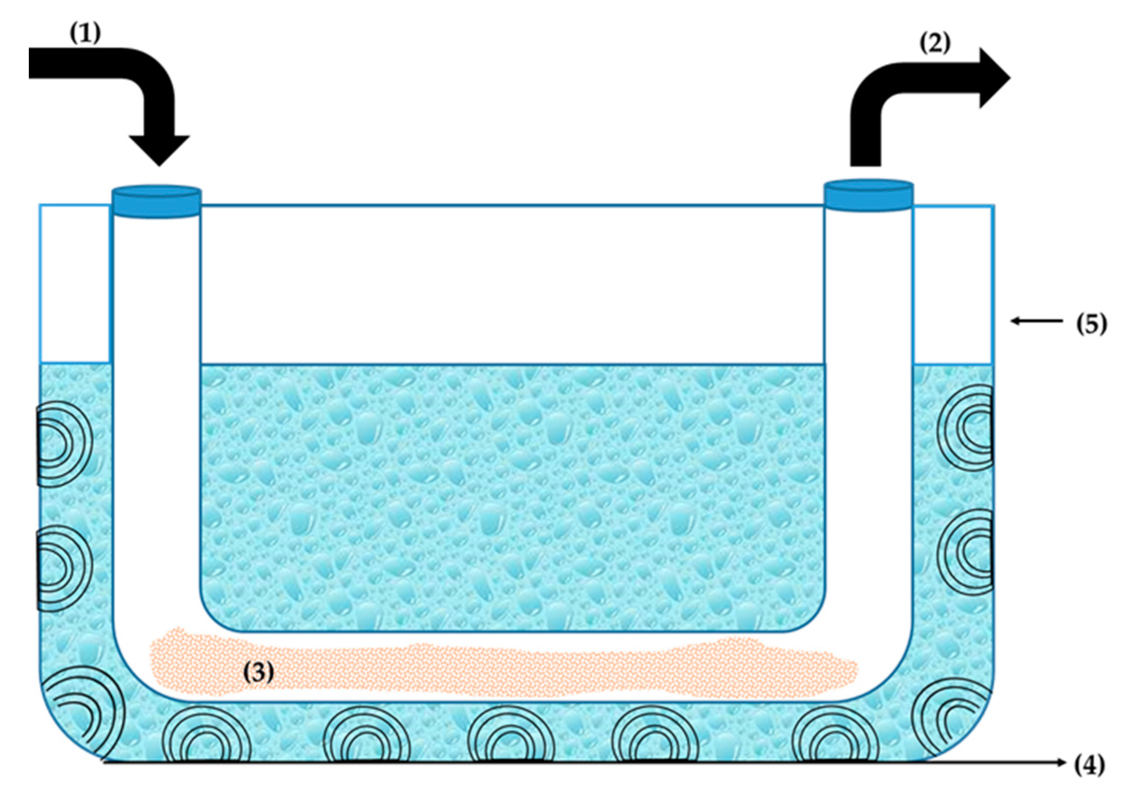 Molecules 25 05936 g007
