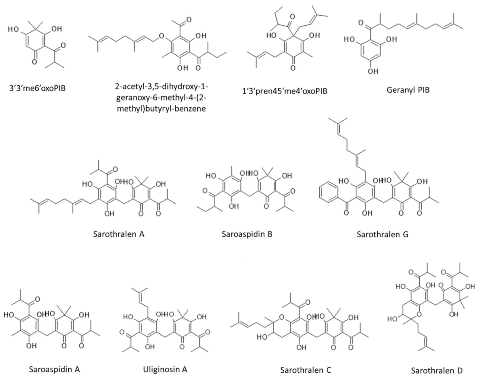 Molecules 25 05937 g001