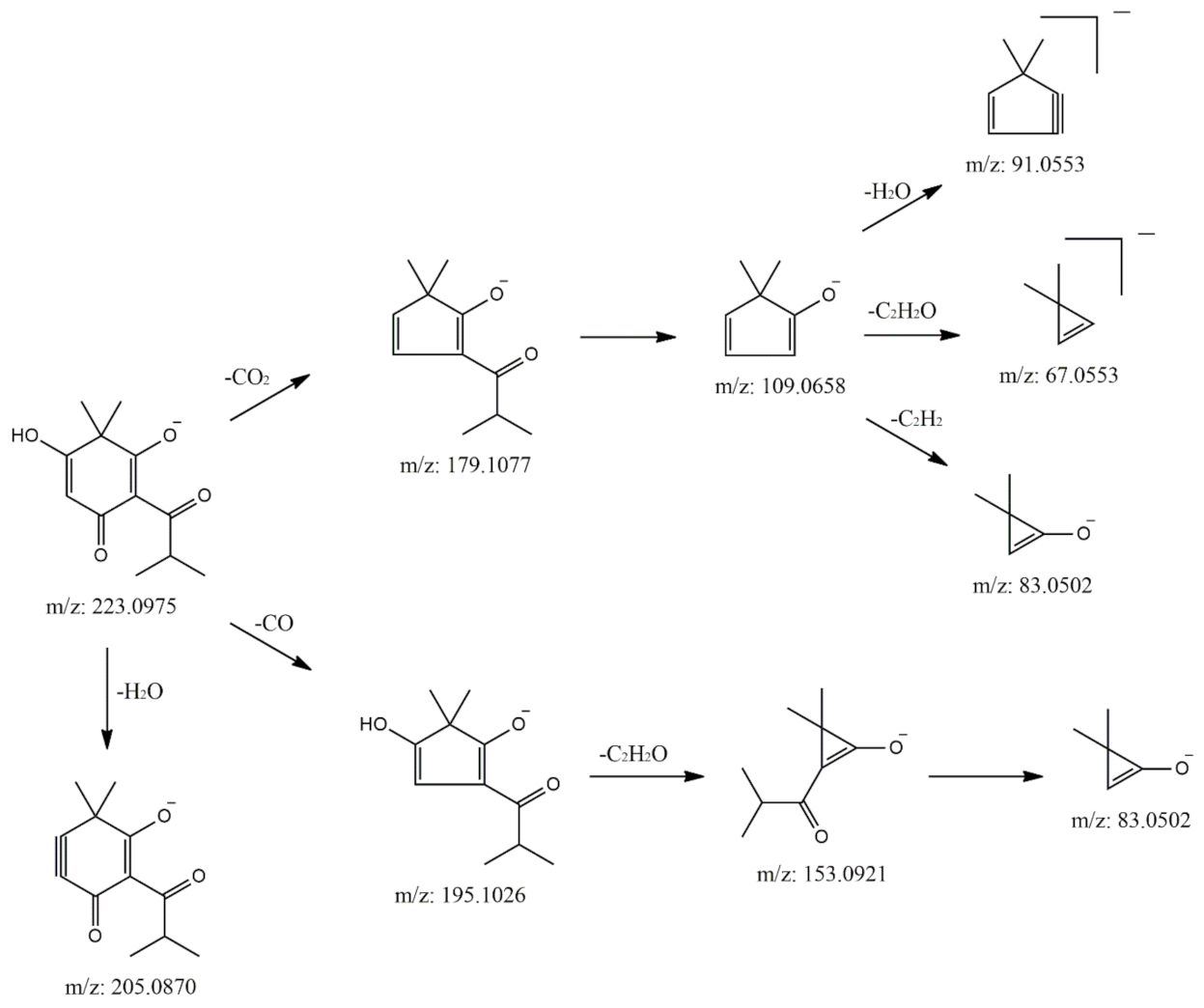 Molecules 25 05937 g004