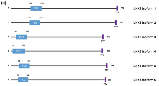 Molecules 25 05938 g001b 550