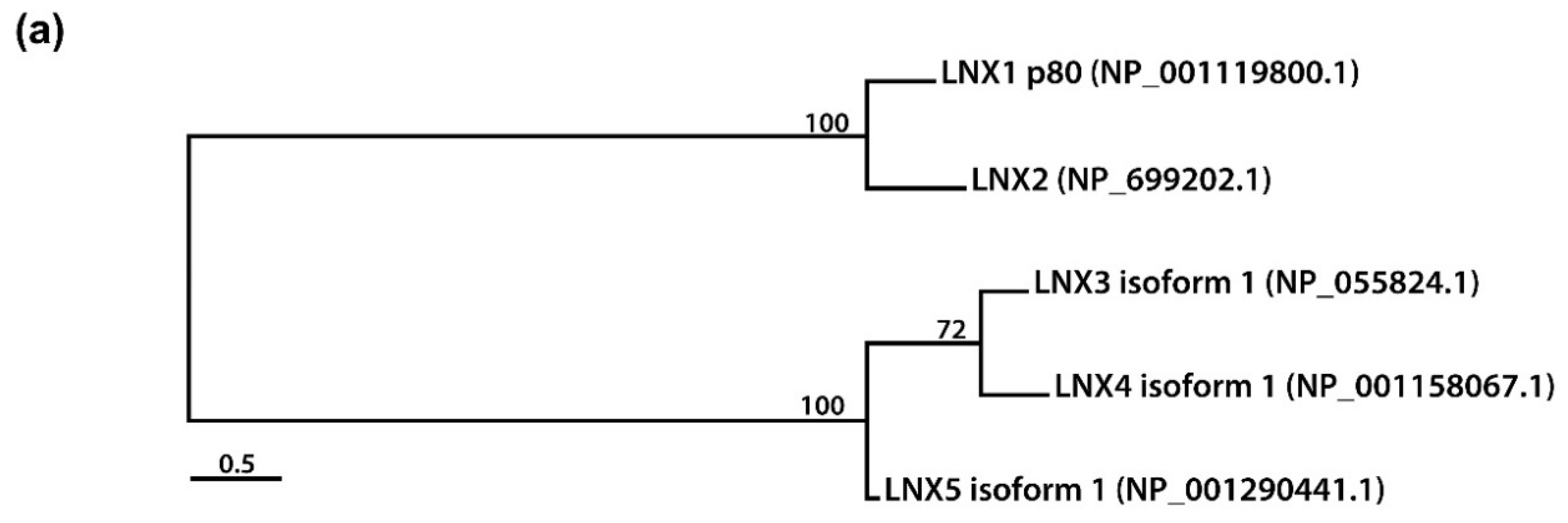 Molecules 25 05938 g002a Molecules 25 05938 g002a