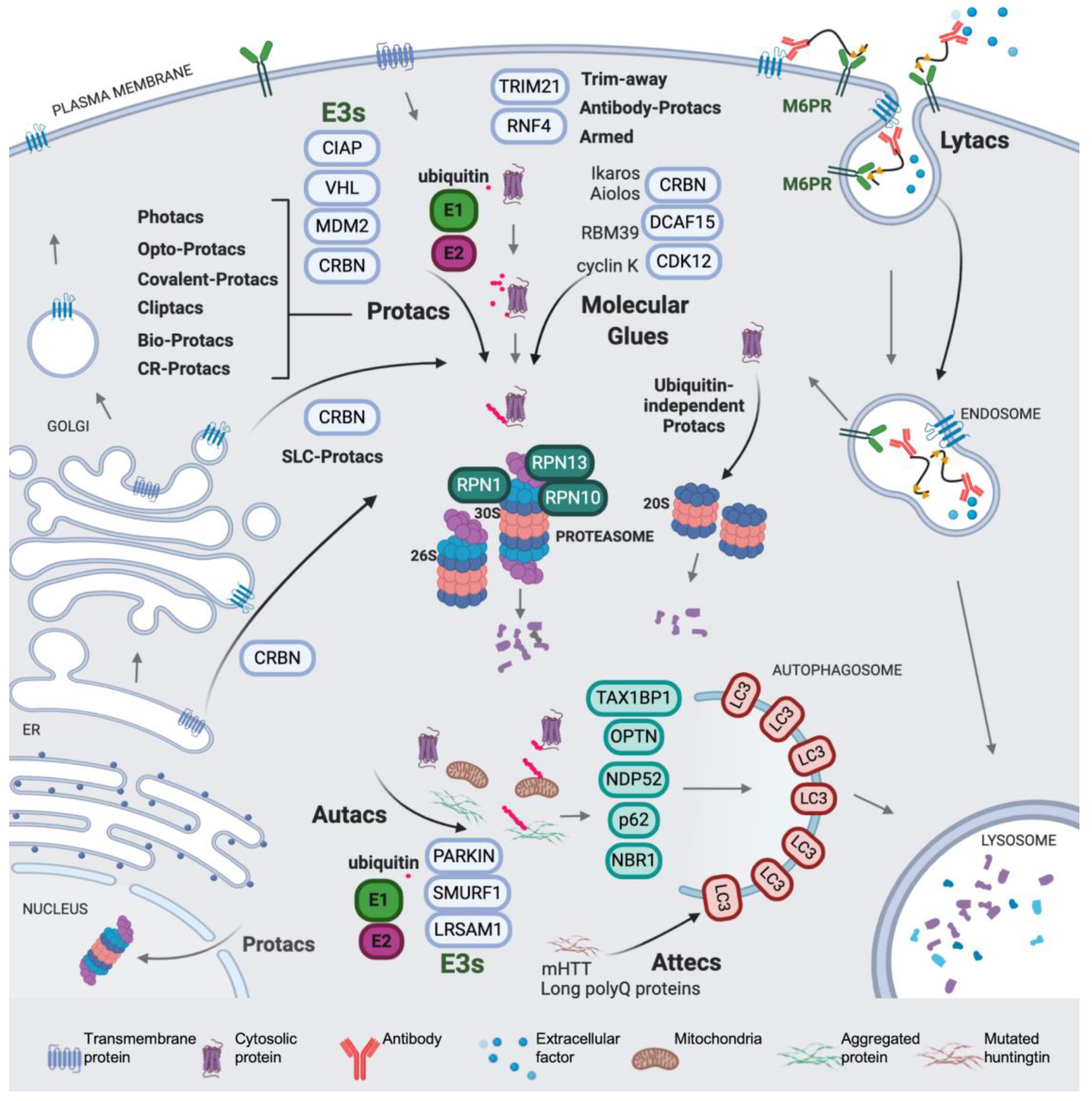 Molecules 25 05956 g001 Molecules 25 05956 g001