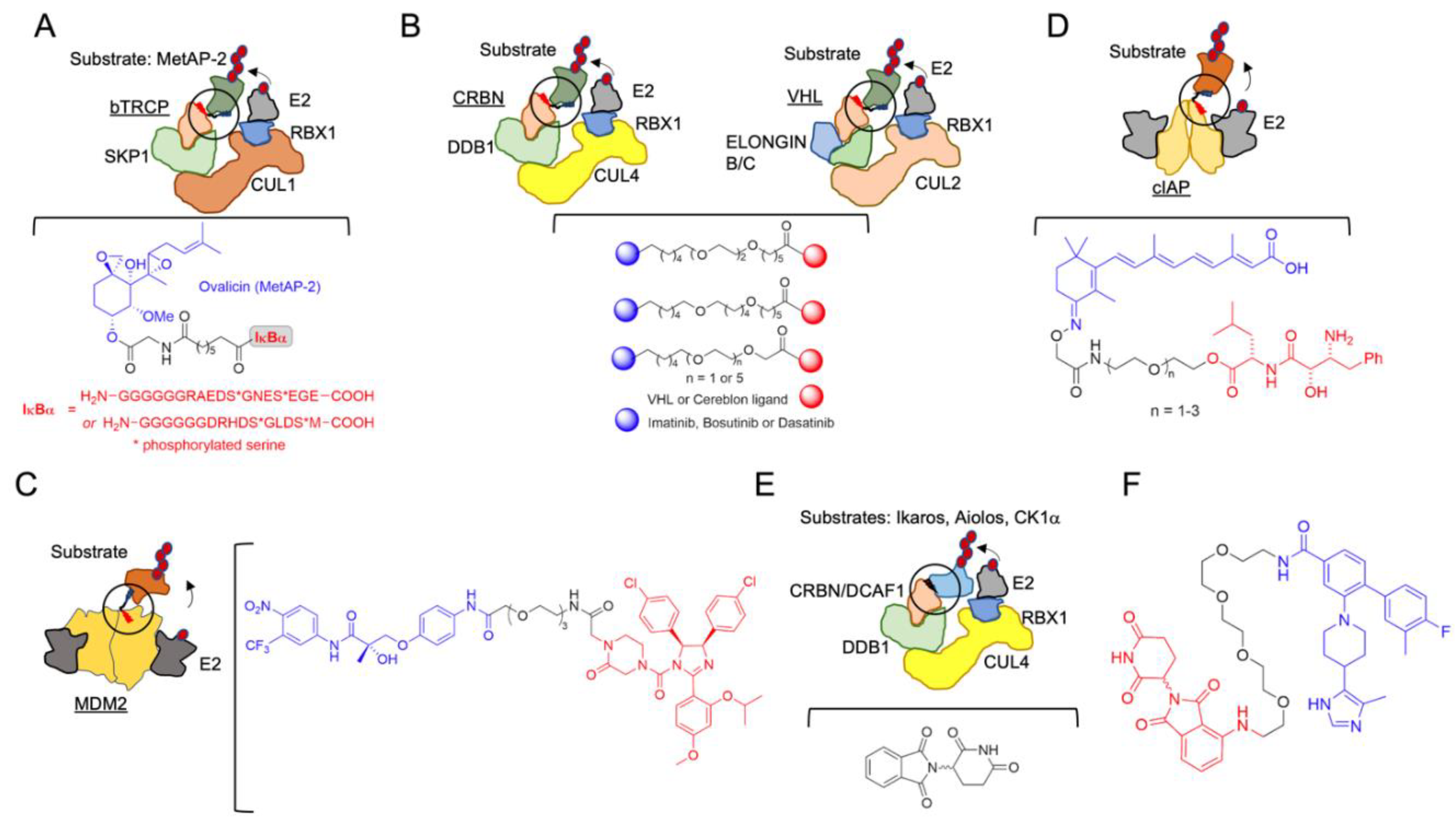 Molecules 25 05956 g002 Molecules 25 05956 g002