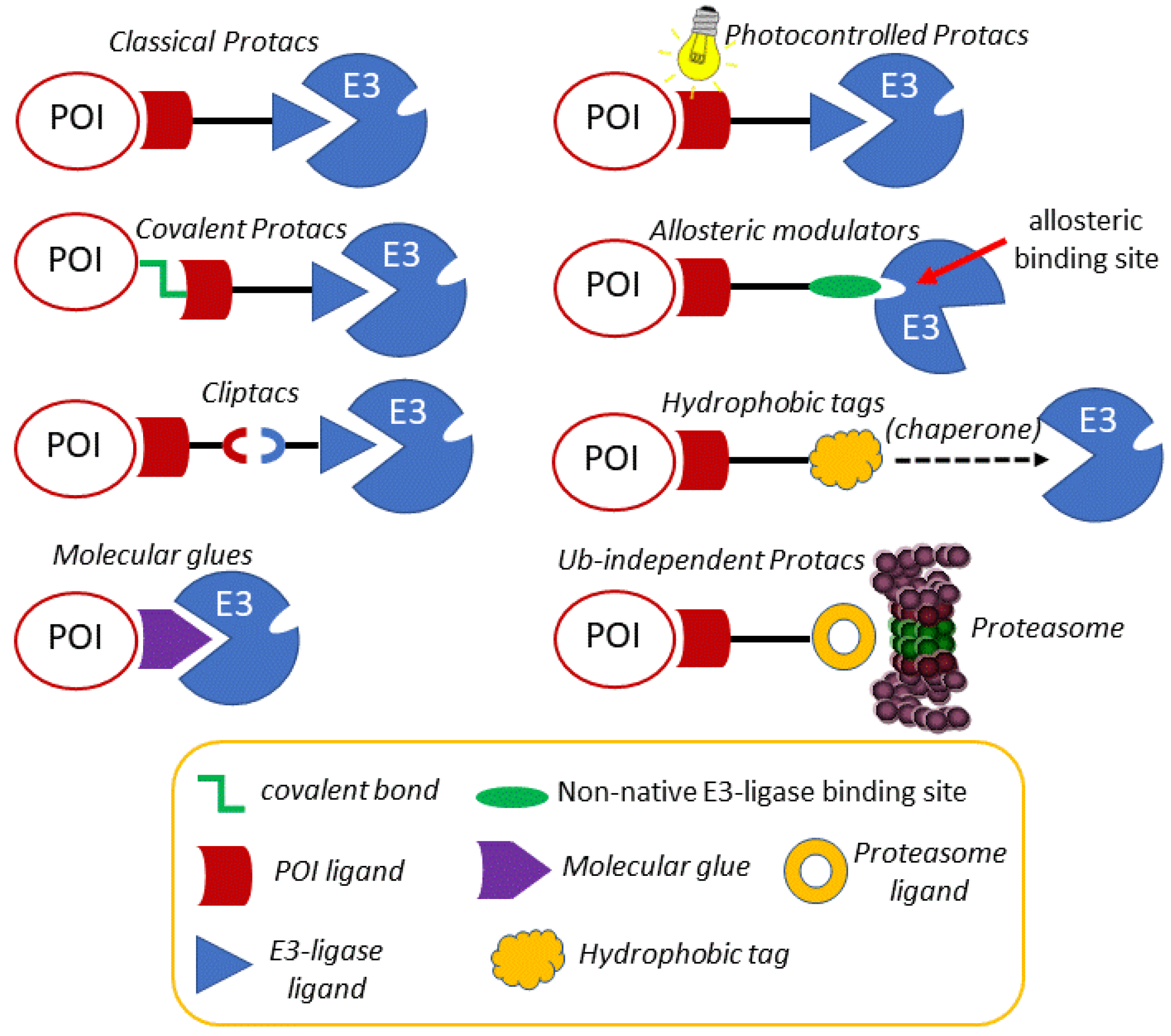 Molecules 25 05956 g003 Molecules 25 05956 g003