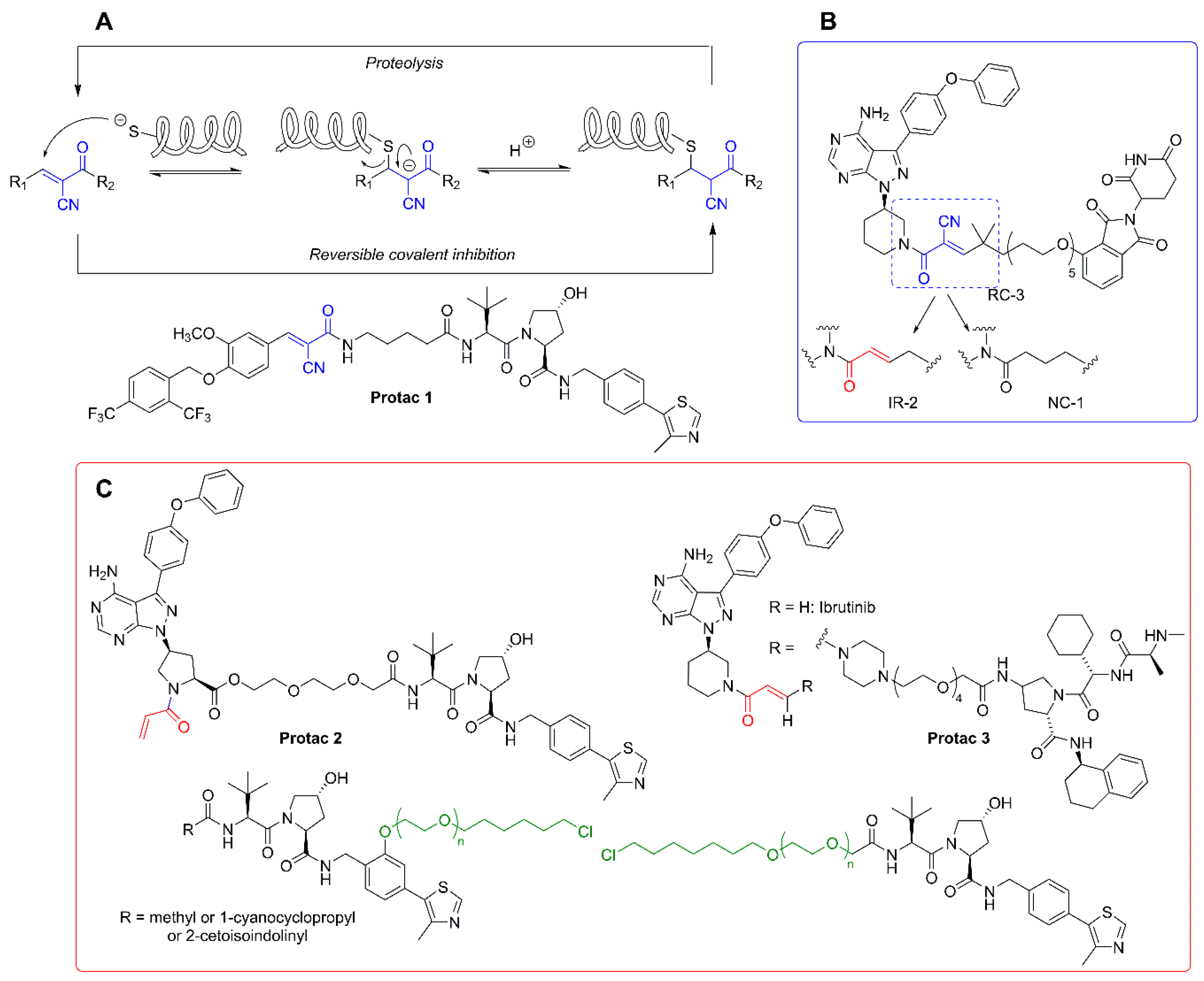 Molecules 25 05956 g005 Molecules 25 05956 g005