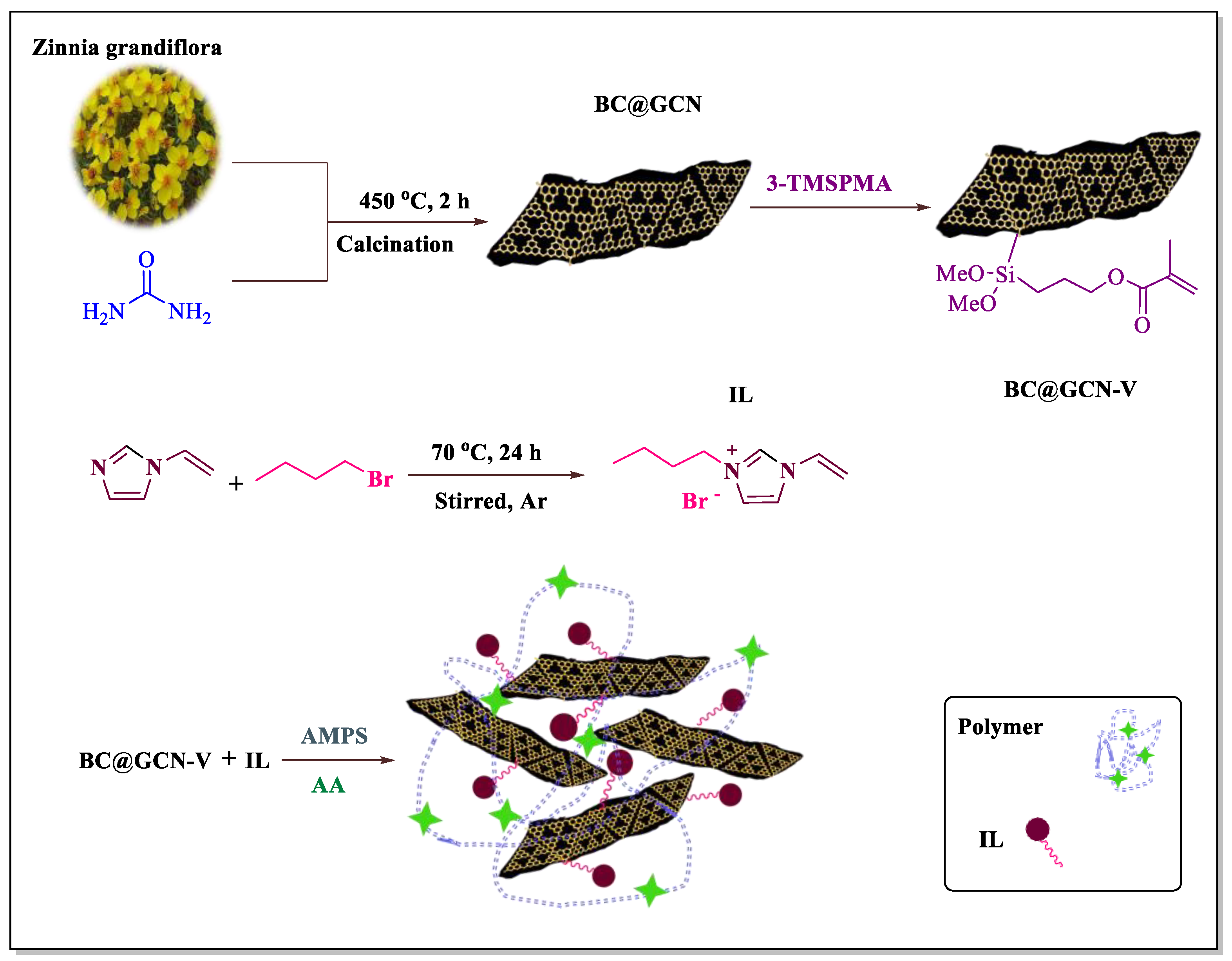 Molecules 25 05958 g001