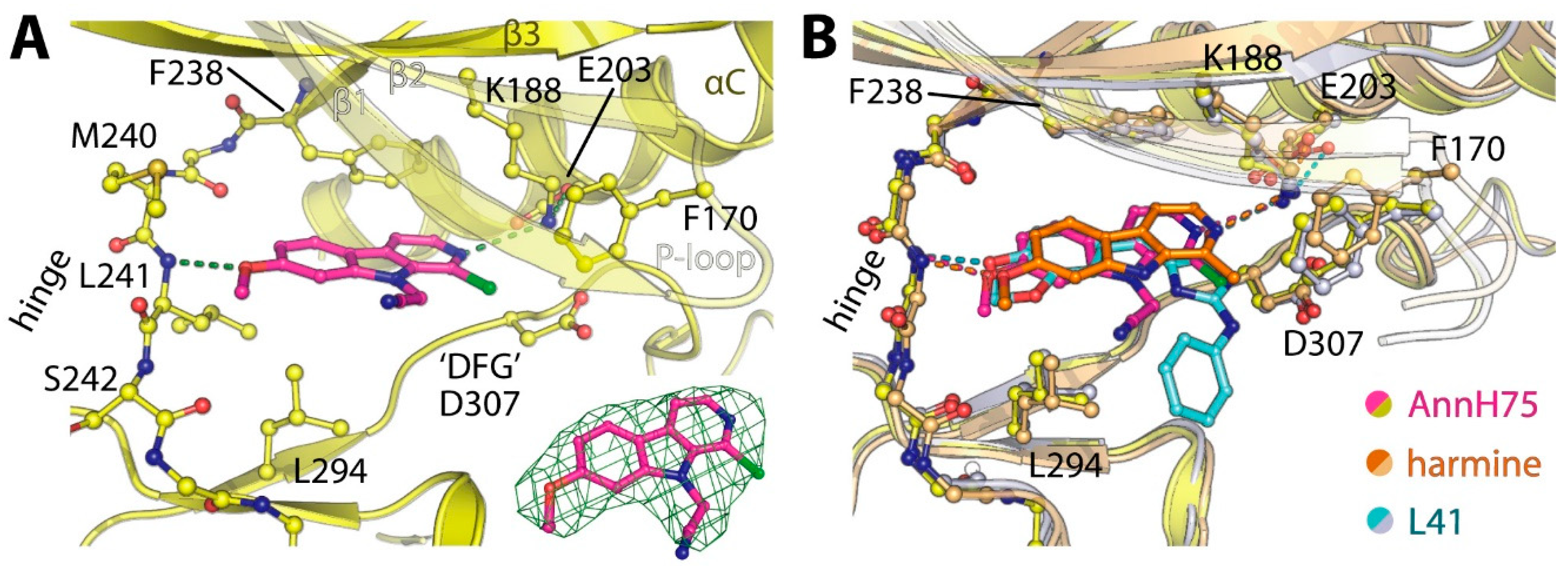 Molecules 25 05962 g004