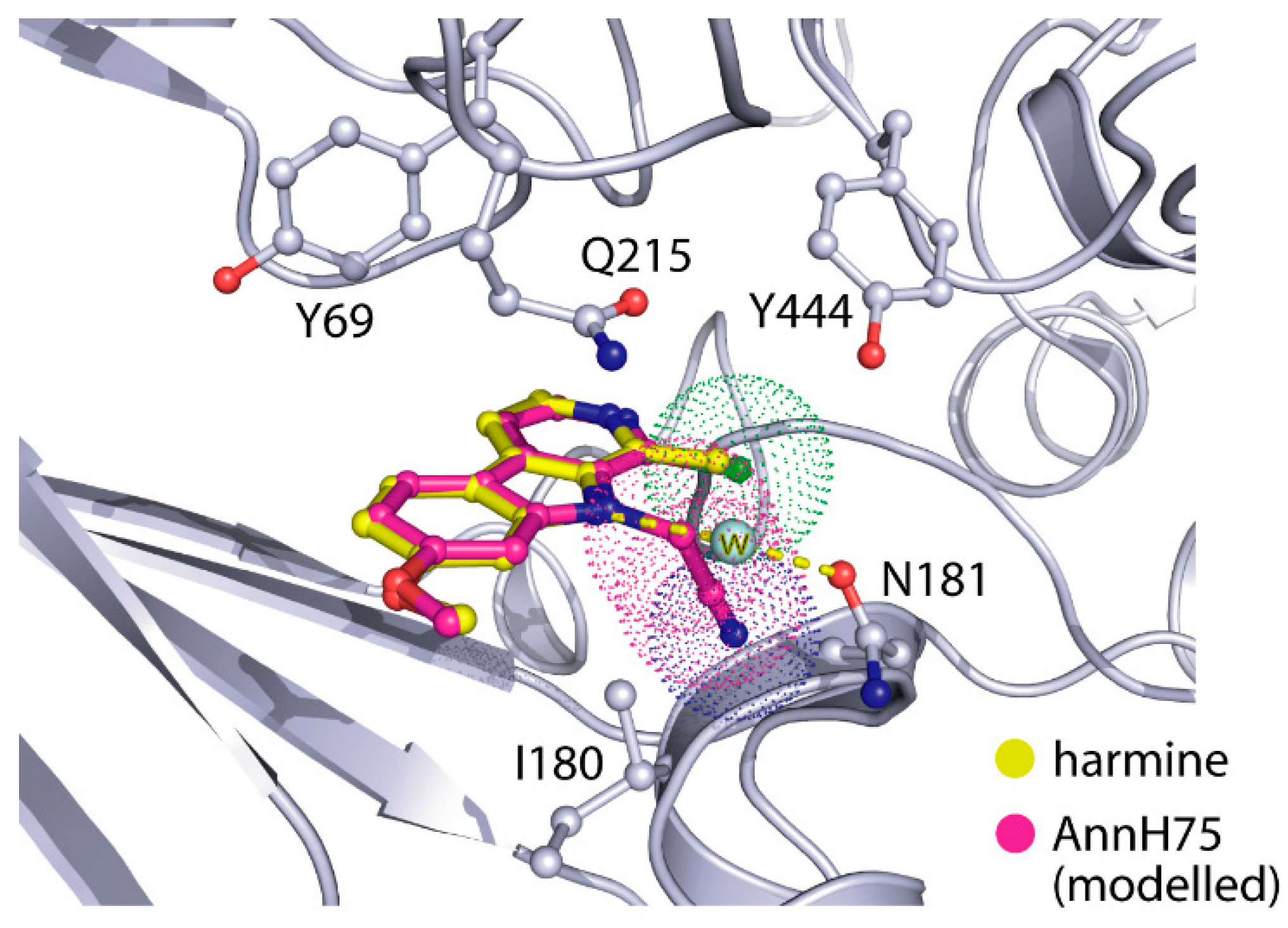 Molecules 25 05962 g005