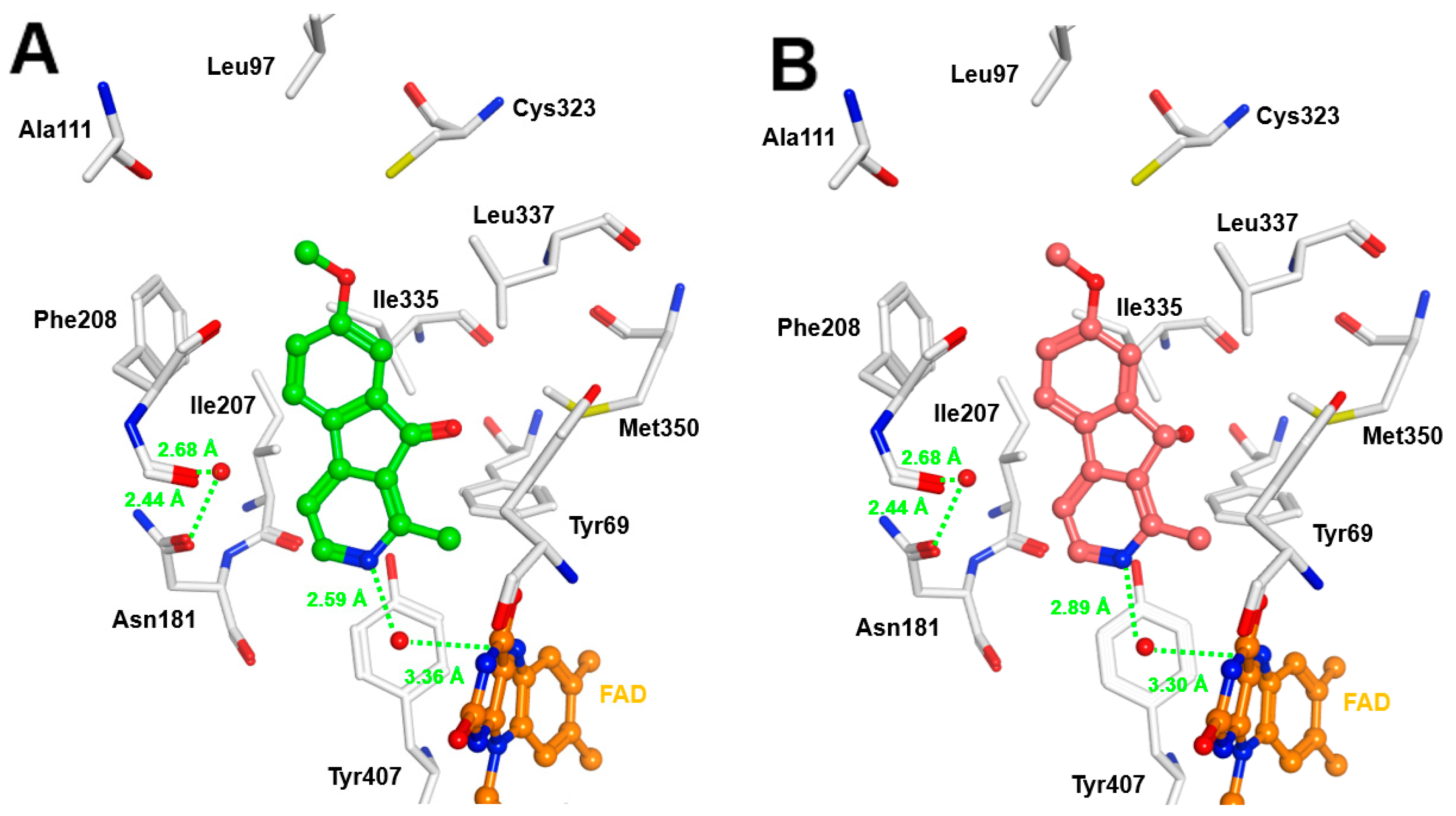 Molecules 25 05962 g008