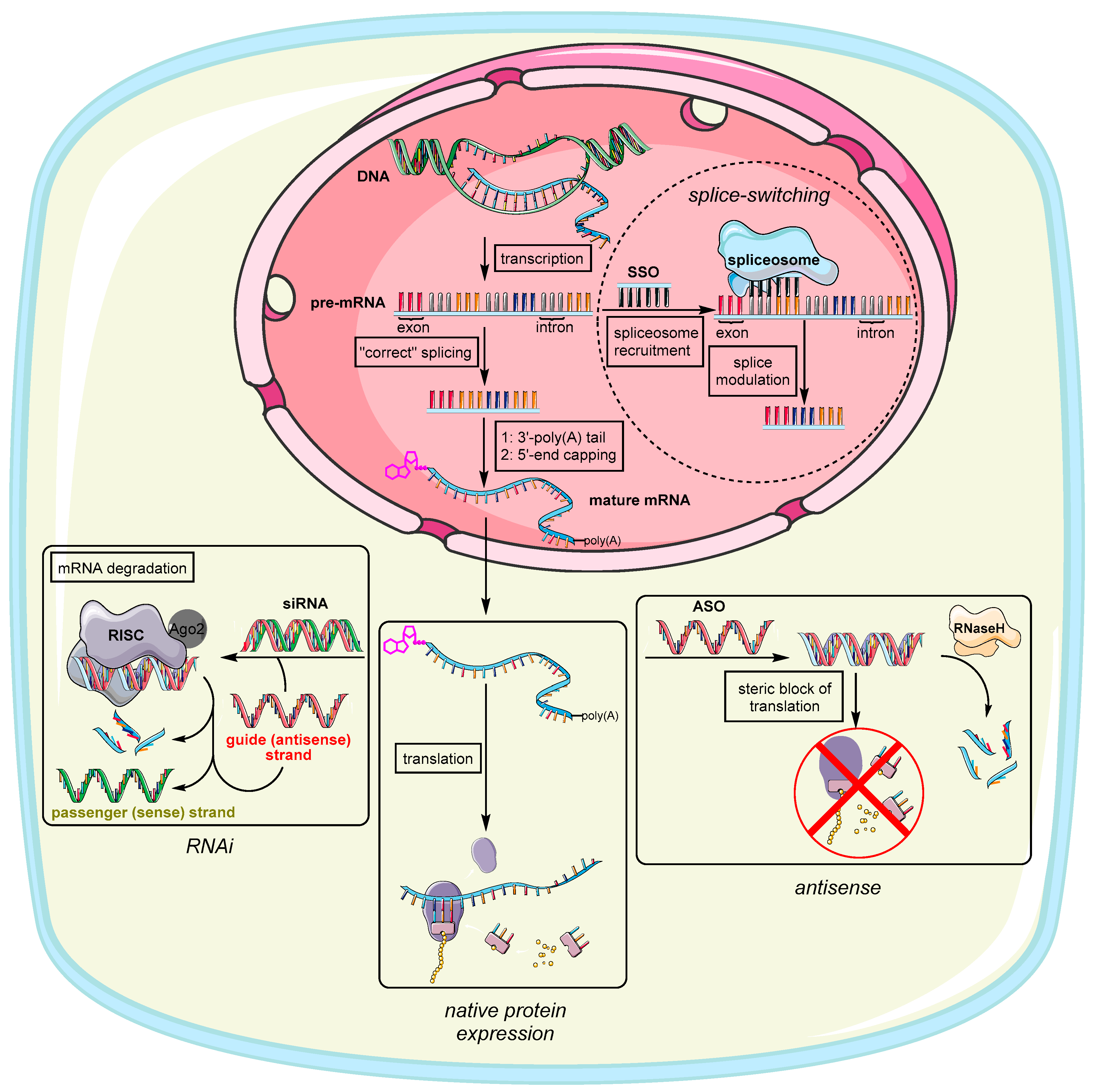 Molecules 25 05963 g001 Molecules 25 05963 g001