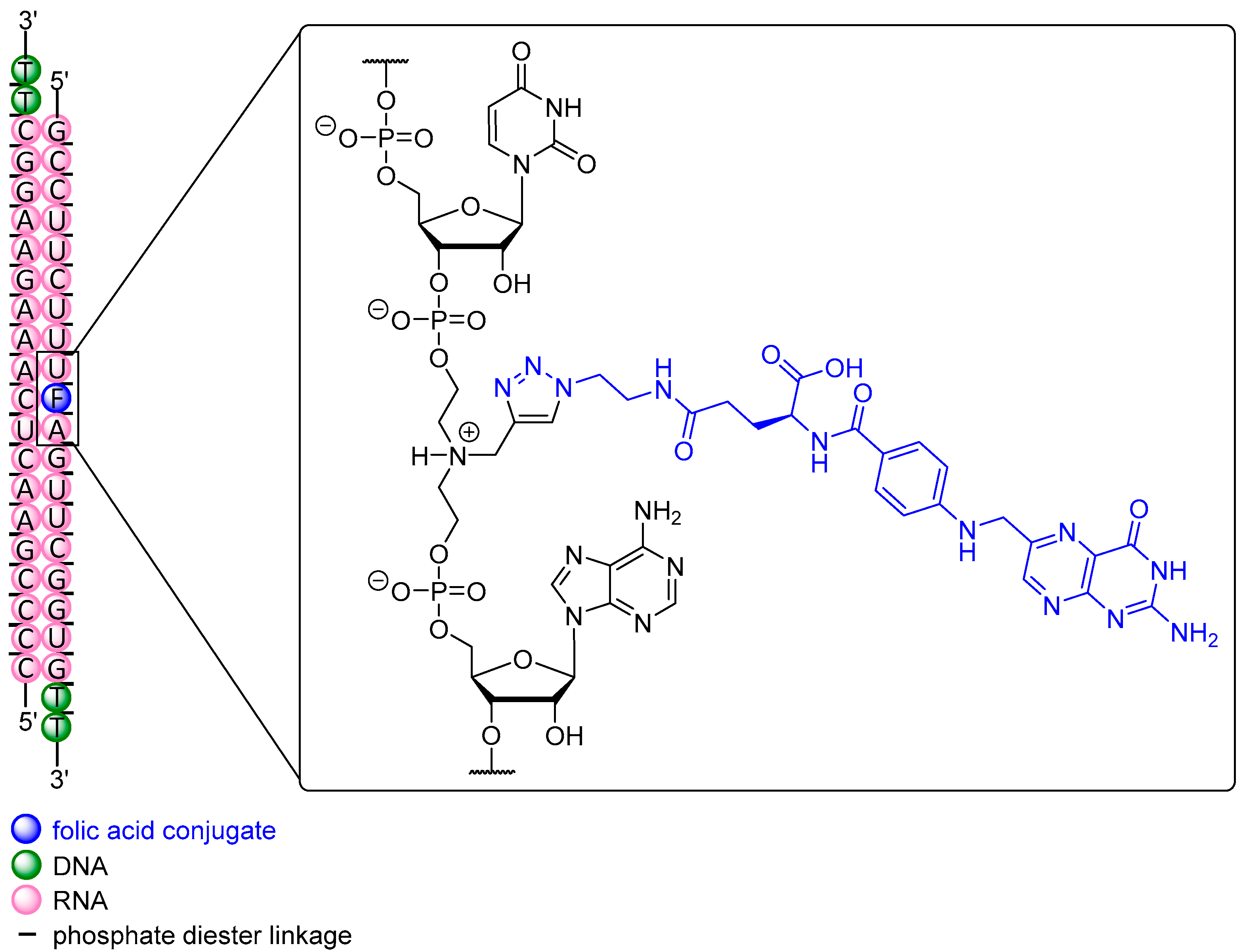 Molecules 25 05963 g004 Molecules 25 05963 g004