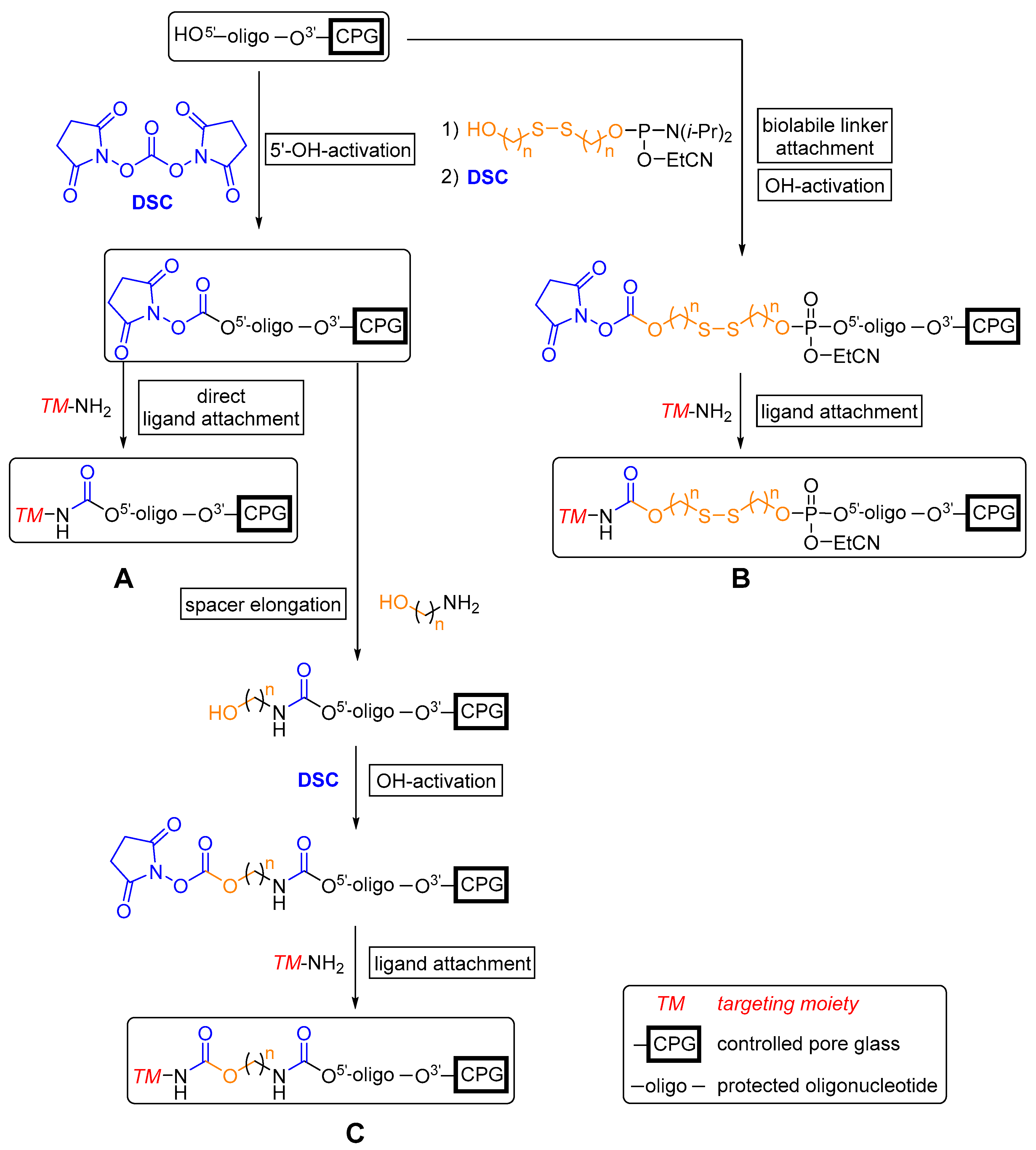Molecules 25 05963 sch001 Molecules 25 05963 sch001