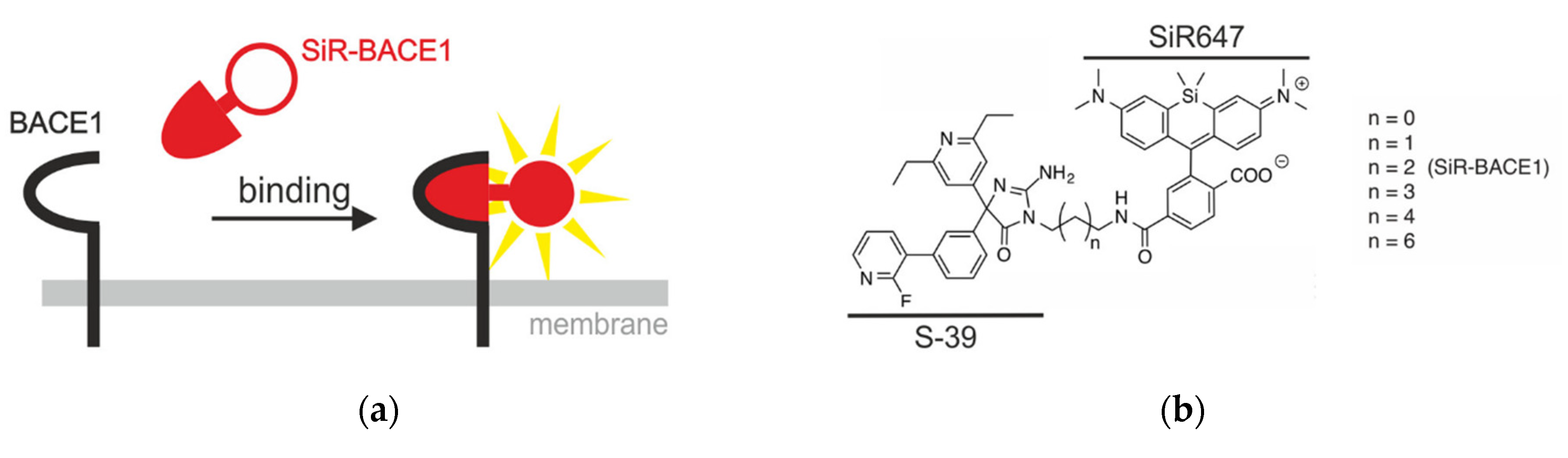 Blue Thermochromic Pigment  Turn Colorless at 25°C / 77°F