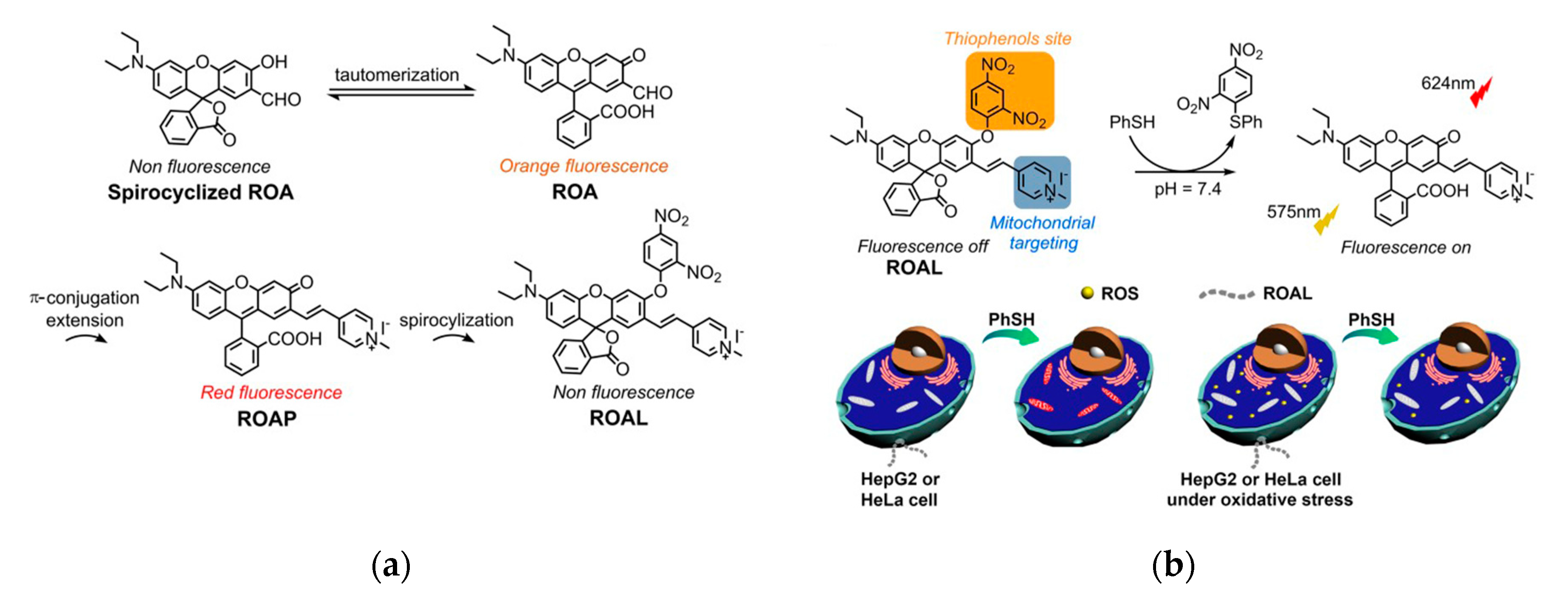 Molecules 25 05964 g016