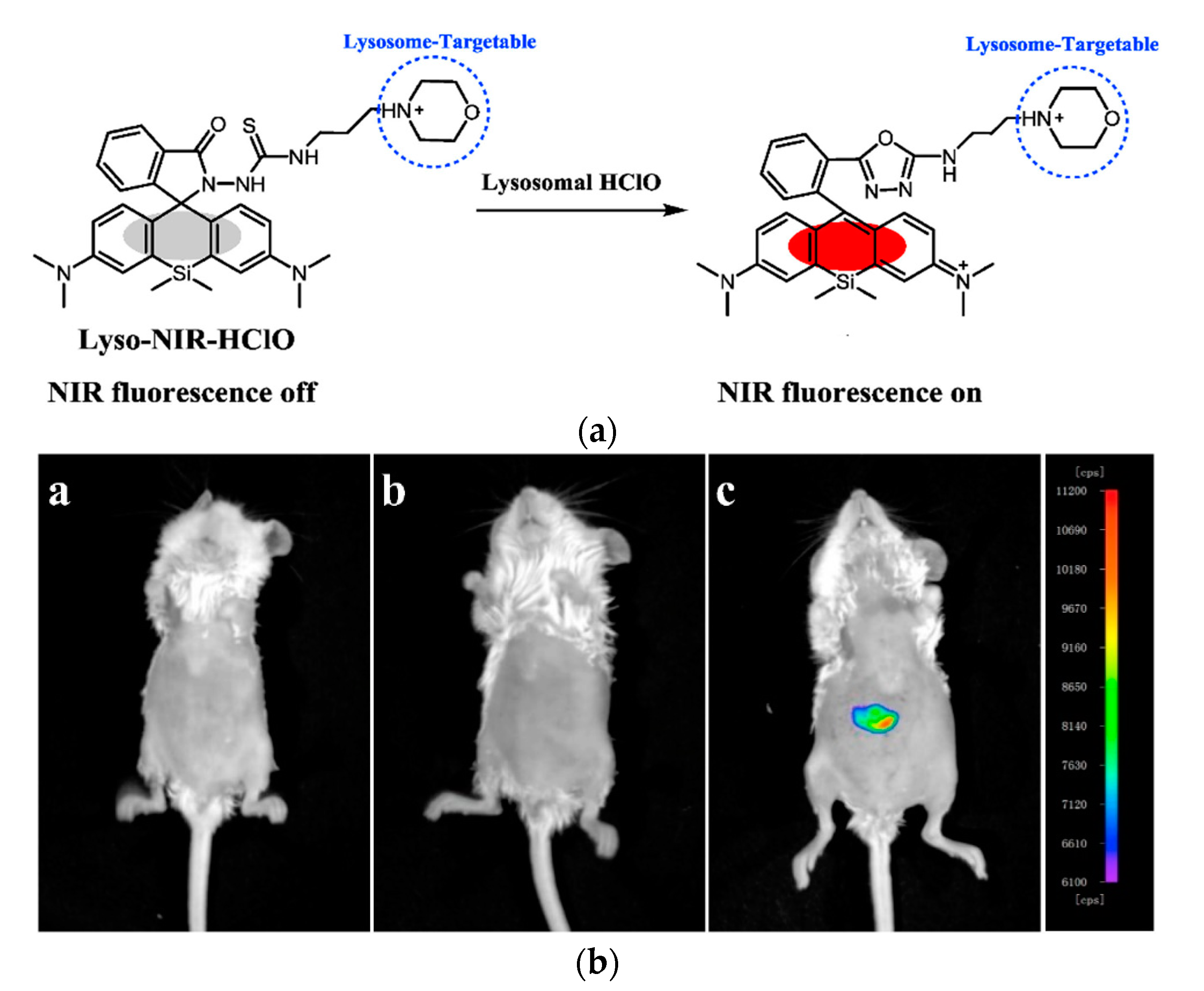 Molecules 25 05964 g019