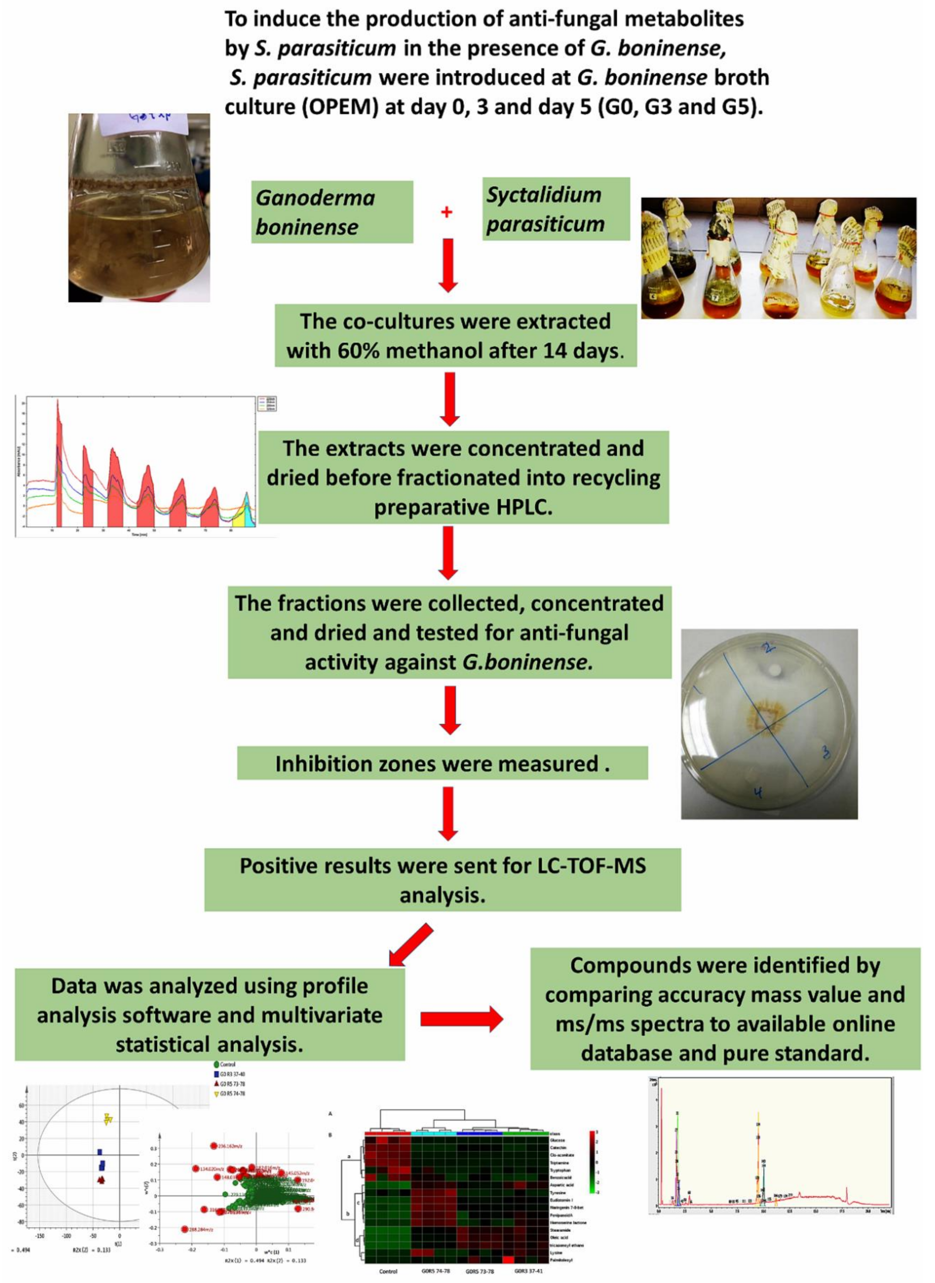 Molecules 25 05965 g001