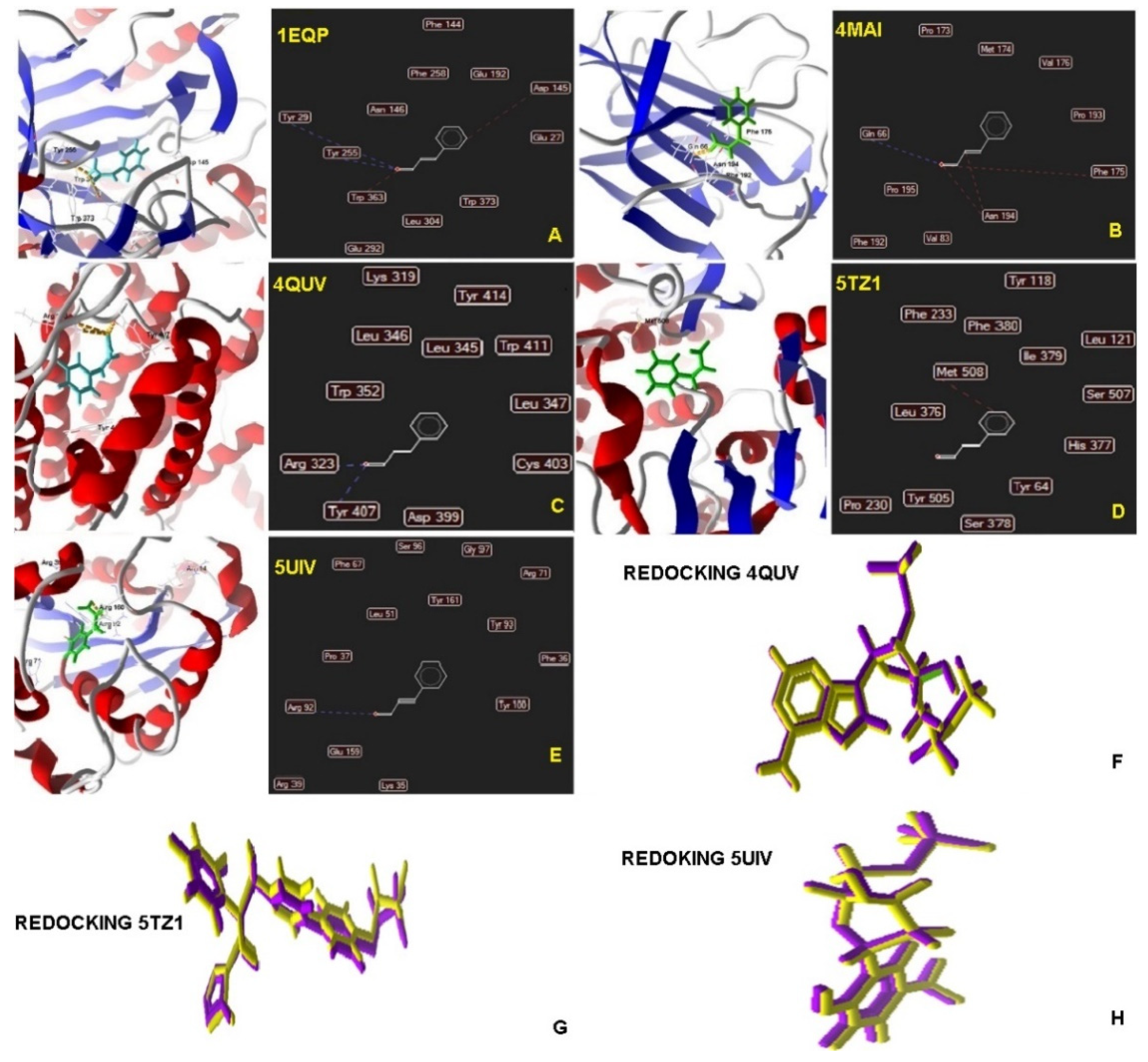 Molecules 25 05969 g001 Molecules 25 05969 g001