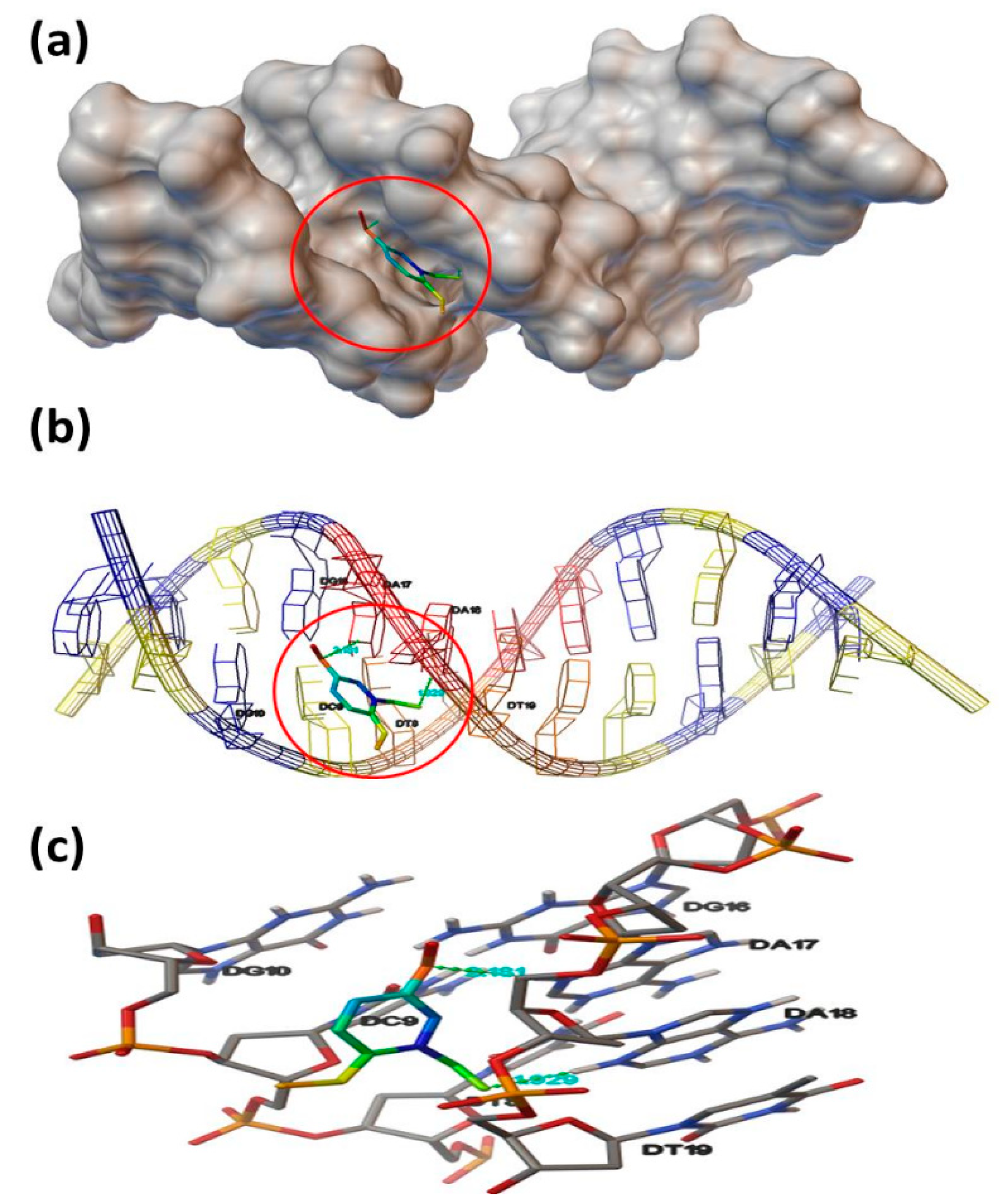 Molecules 25 05970 g012