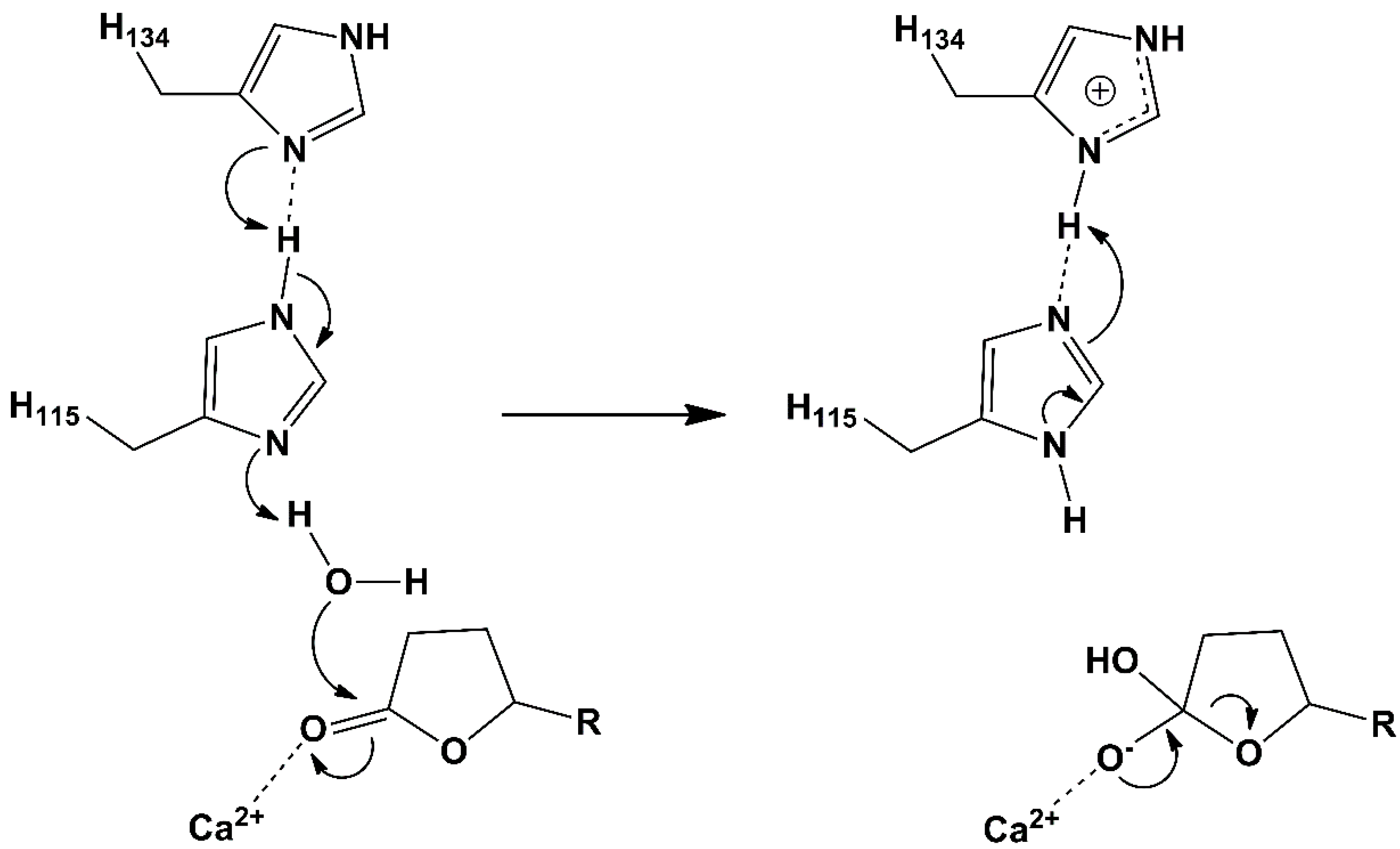 Molecules 25 05980 g002 Molecules 25 05980 g002