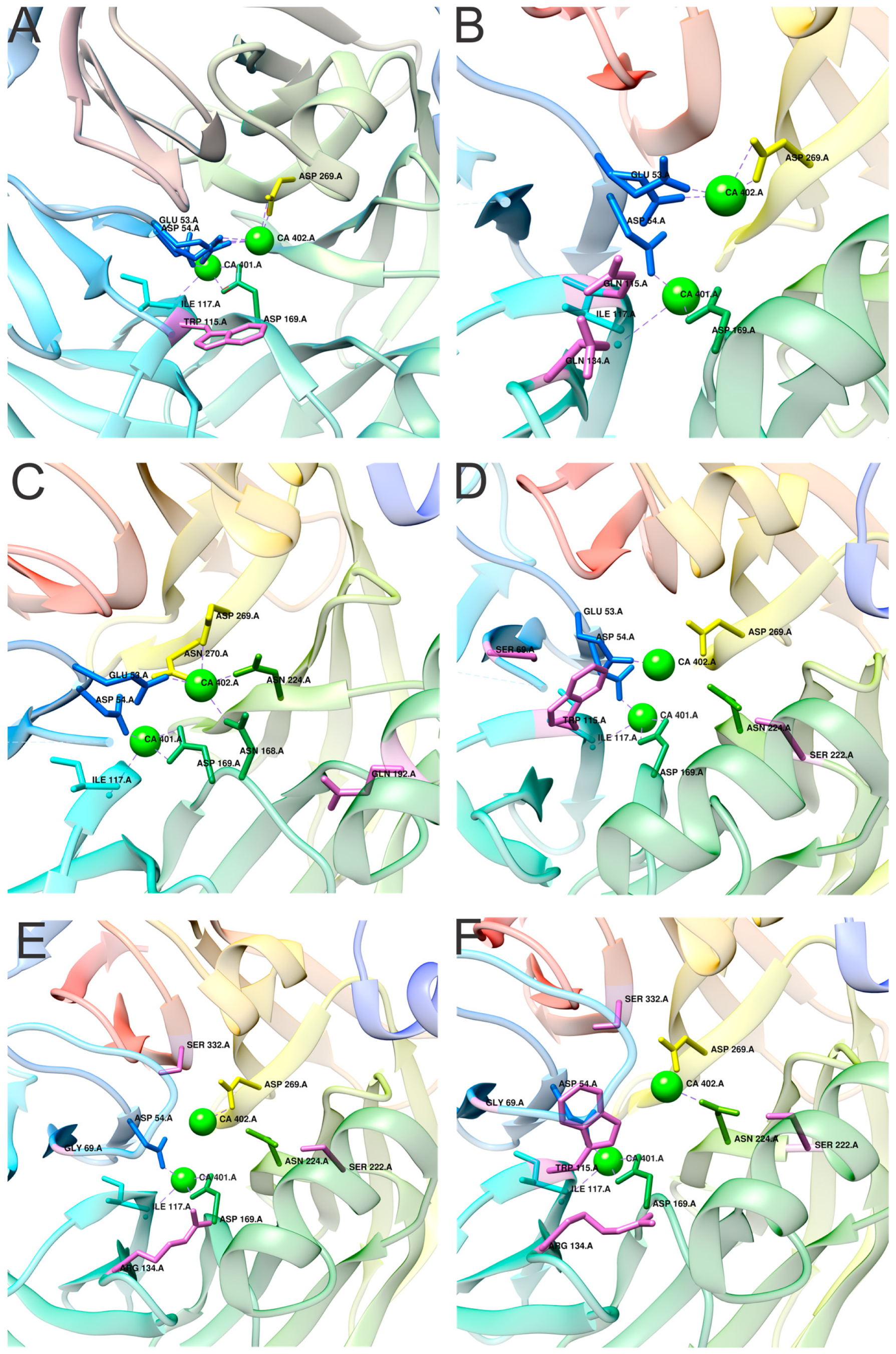 Molecules 25 05980 g005 Molecules 25 05980 g005