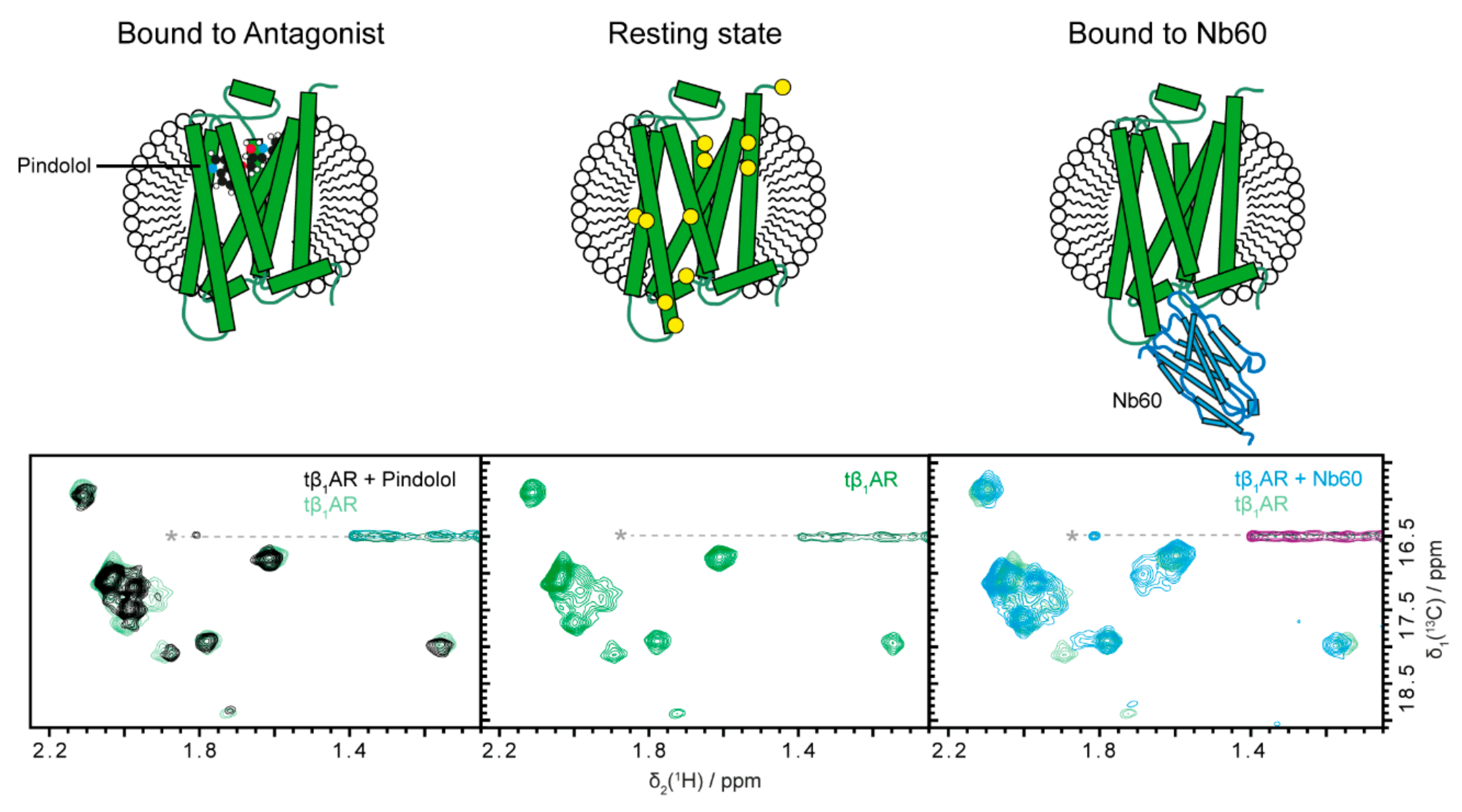 Molecules 25 05984 g002 Molecules 25 05984 g002