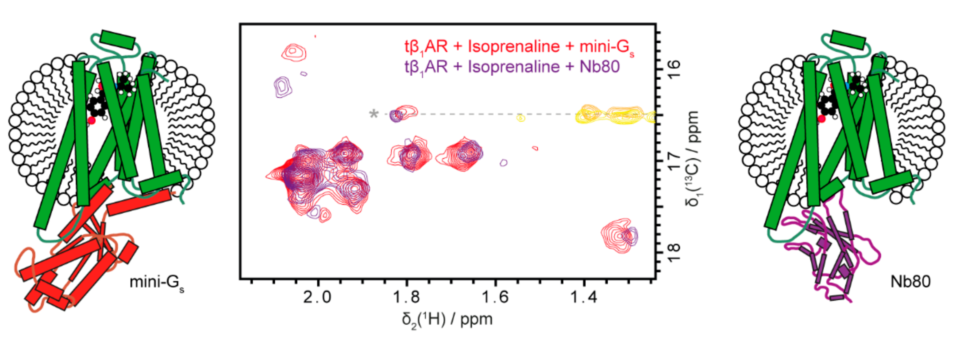 Molecules 25 05984 g004 Molecules 25 05984 g004