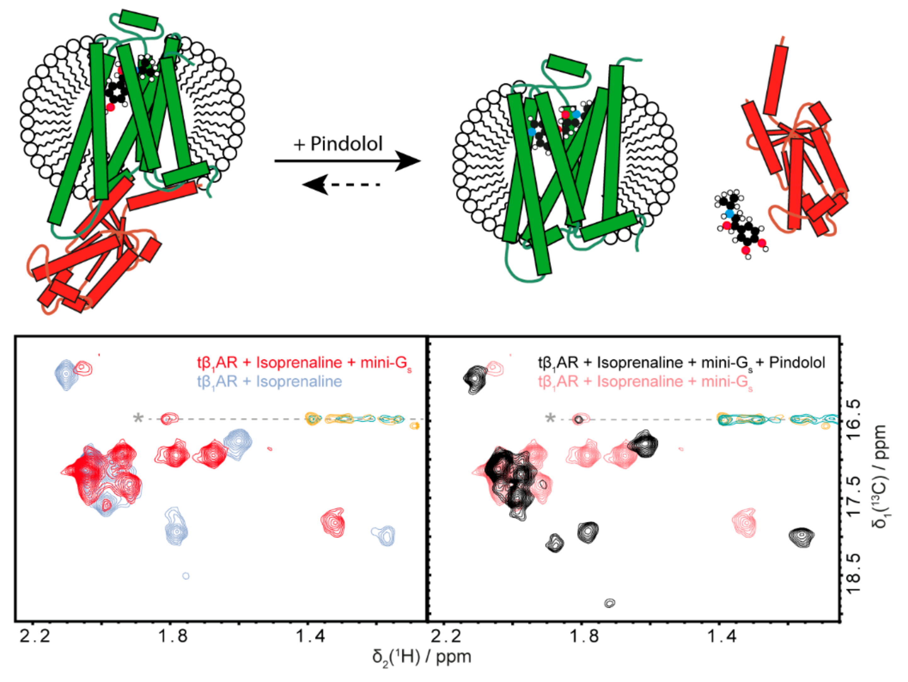 Molecules 25 05984 g005 Molecules 25 05984 g005