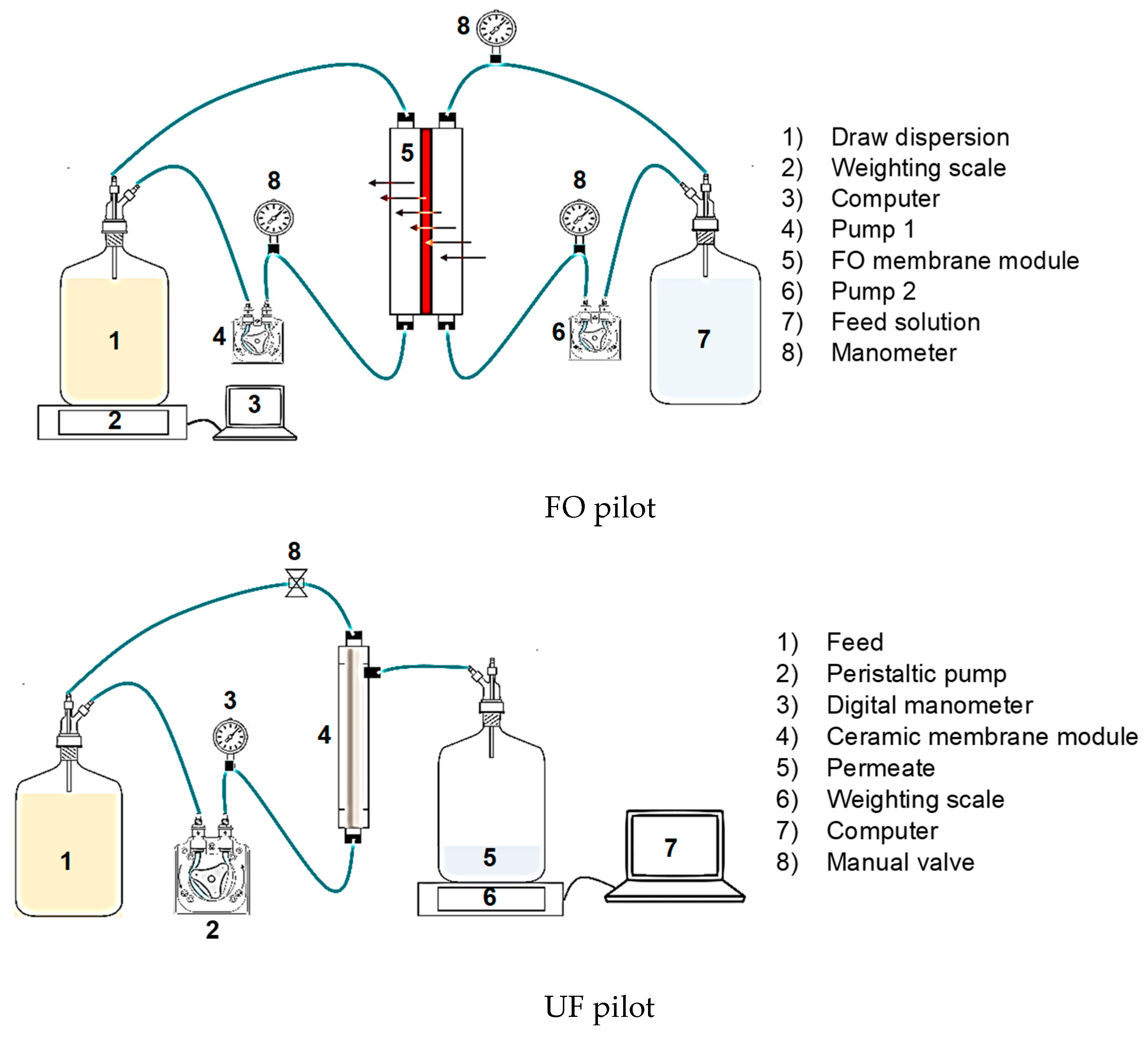 Molecules 25 05987 g006