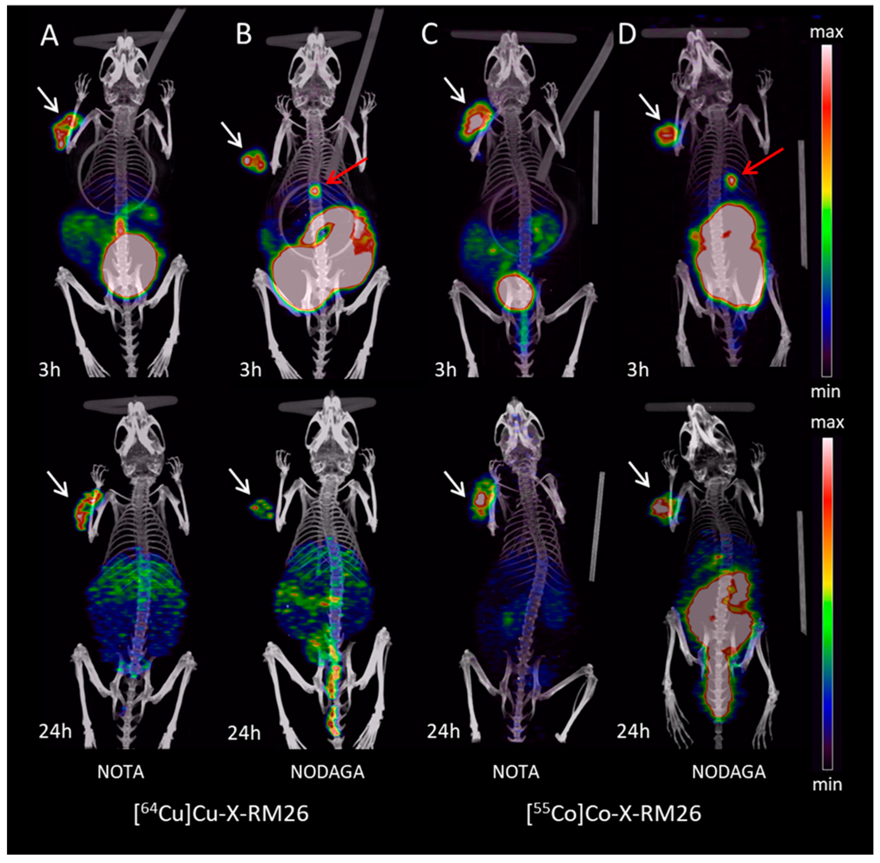 Molecules 25 05993 g006