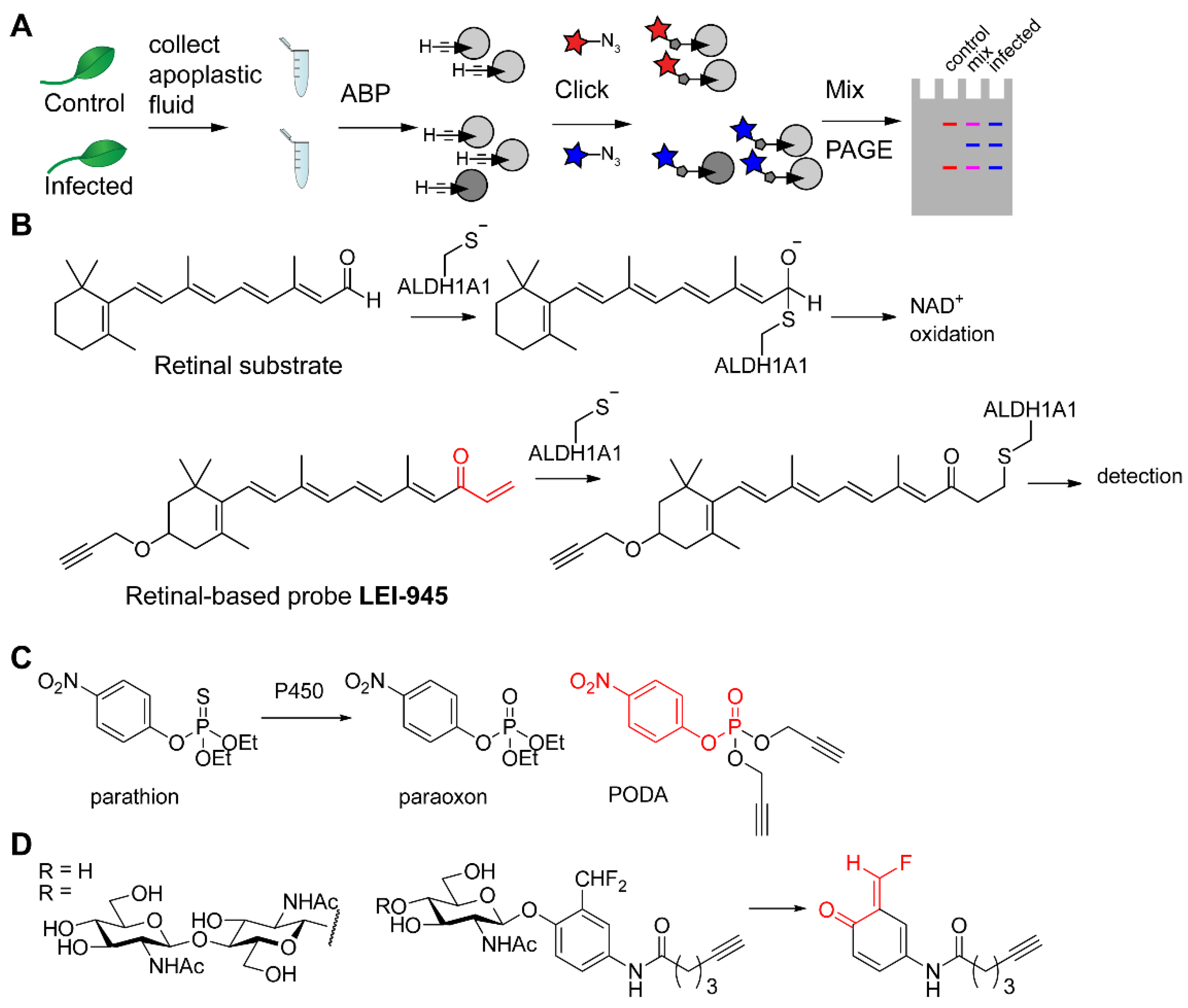 Molecules 25 05994 g006