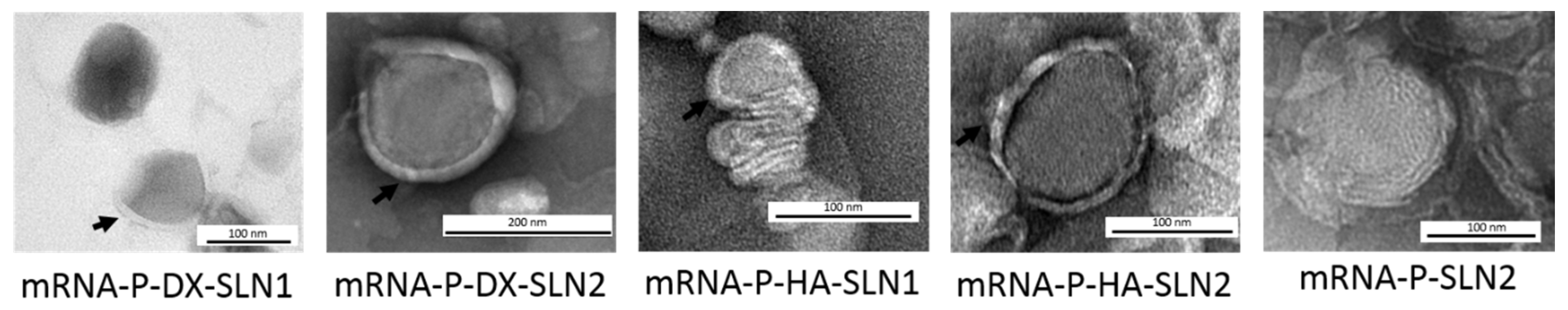 Molecules 25 05995 g001