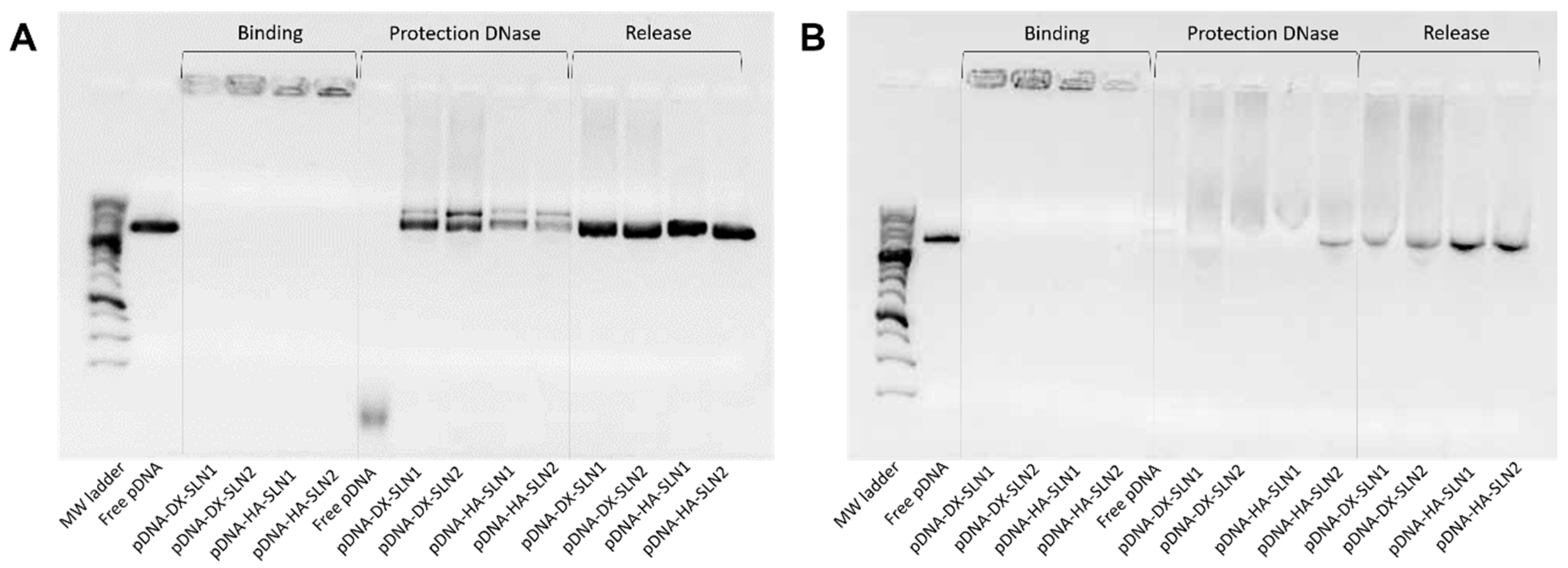 Molecules 25 05995 g010