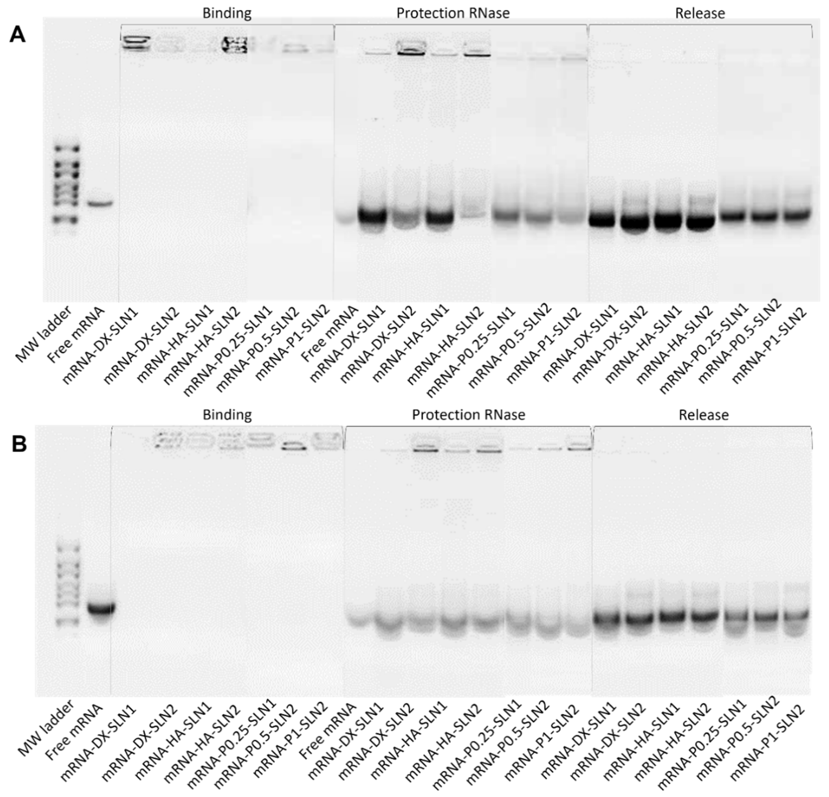 Molecules 25 05995 g011