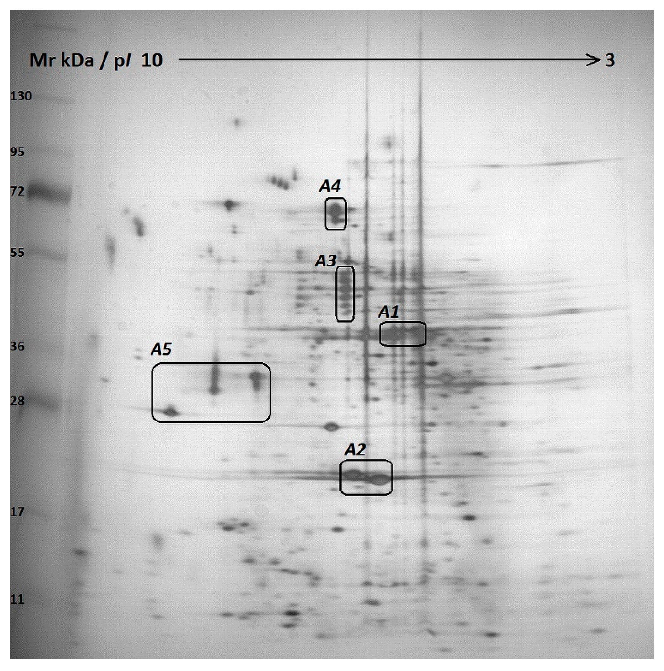 Molecules 25 05996 g001