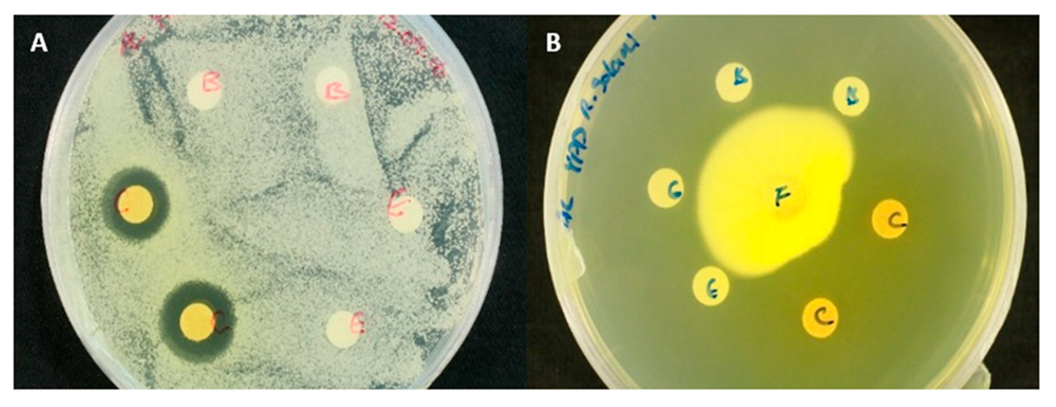 Molecules 25 05997 g003 Molecules 25 05997 g003