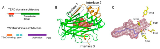 Molecules 25 06001 g001 550