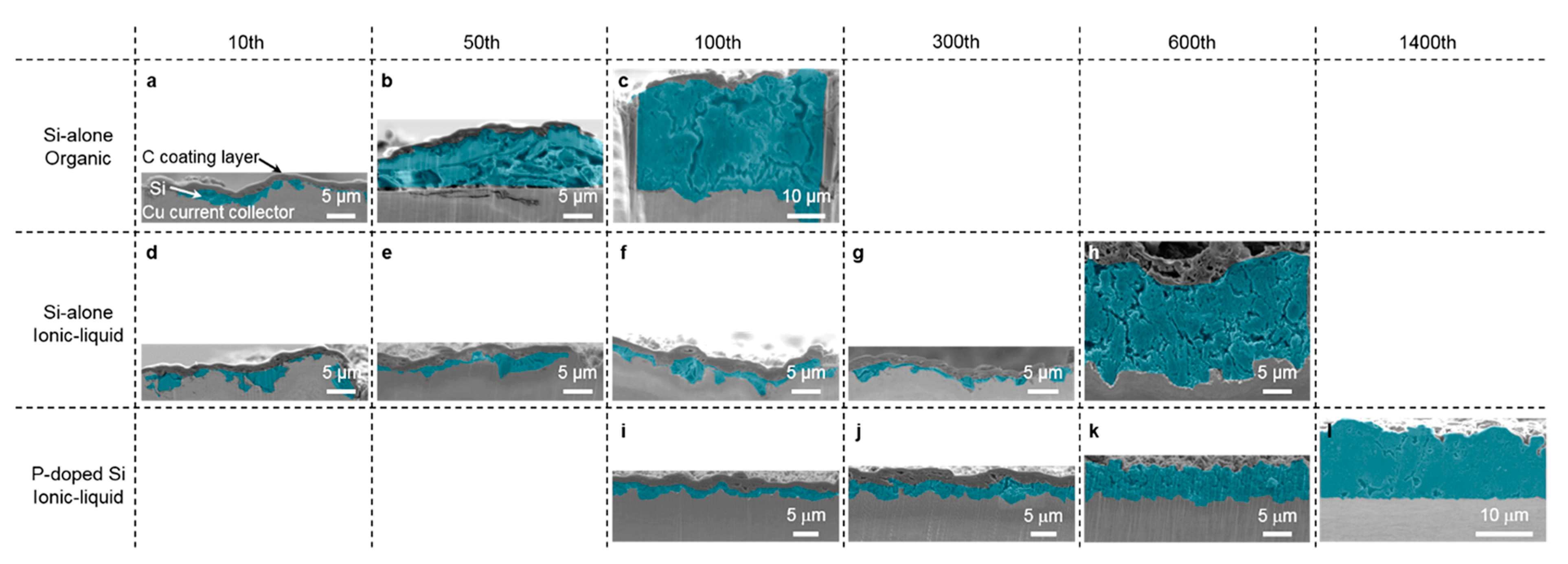 Molecules 25 06002 g004